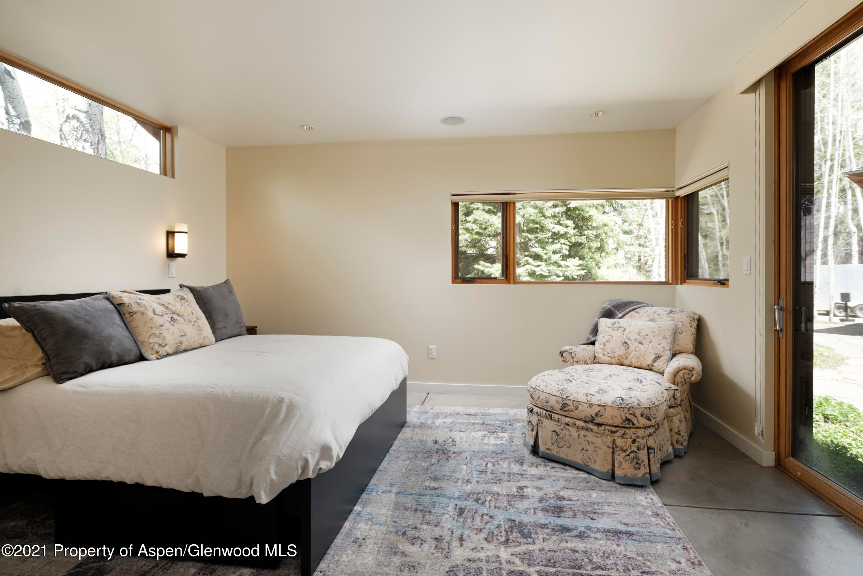 707 Castle Creek Drive 2, Aspen, CO 81611 - Photo 13