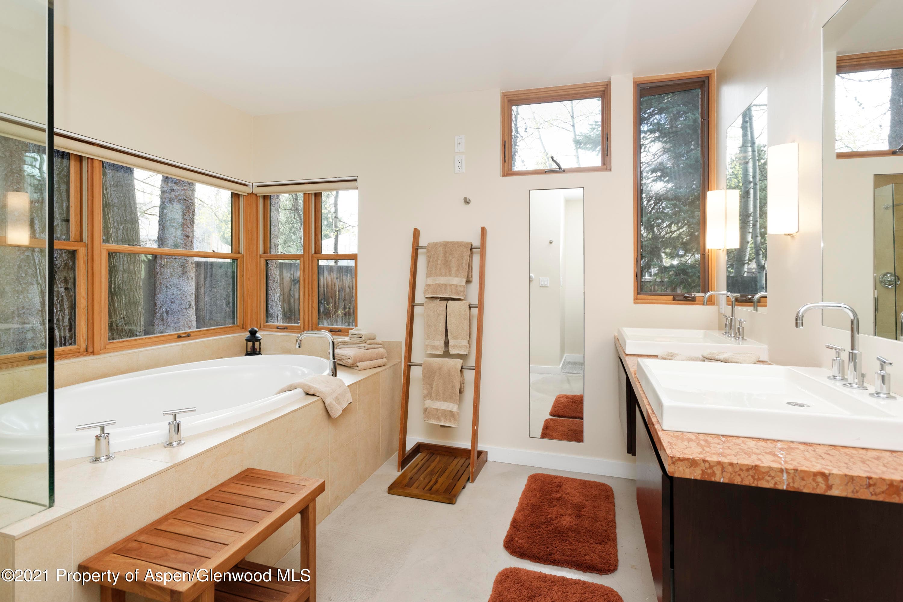 707 Castle Creek Drive 2, Aspen, CO 81611 - Photo 15