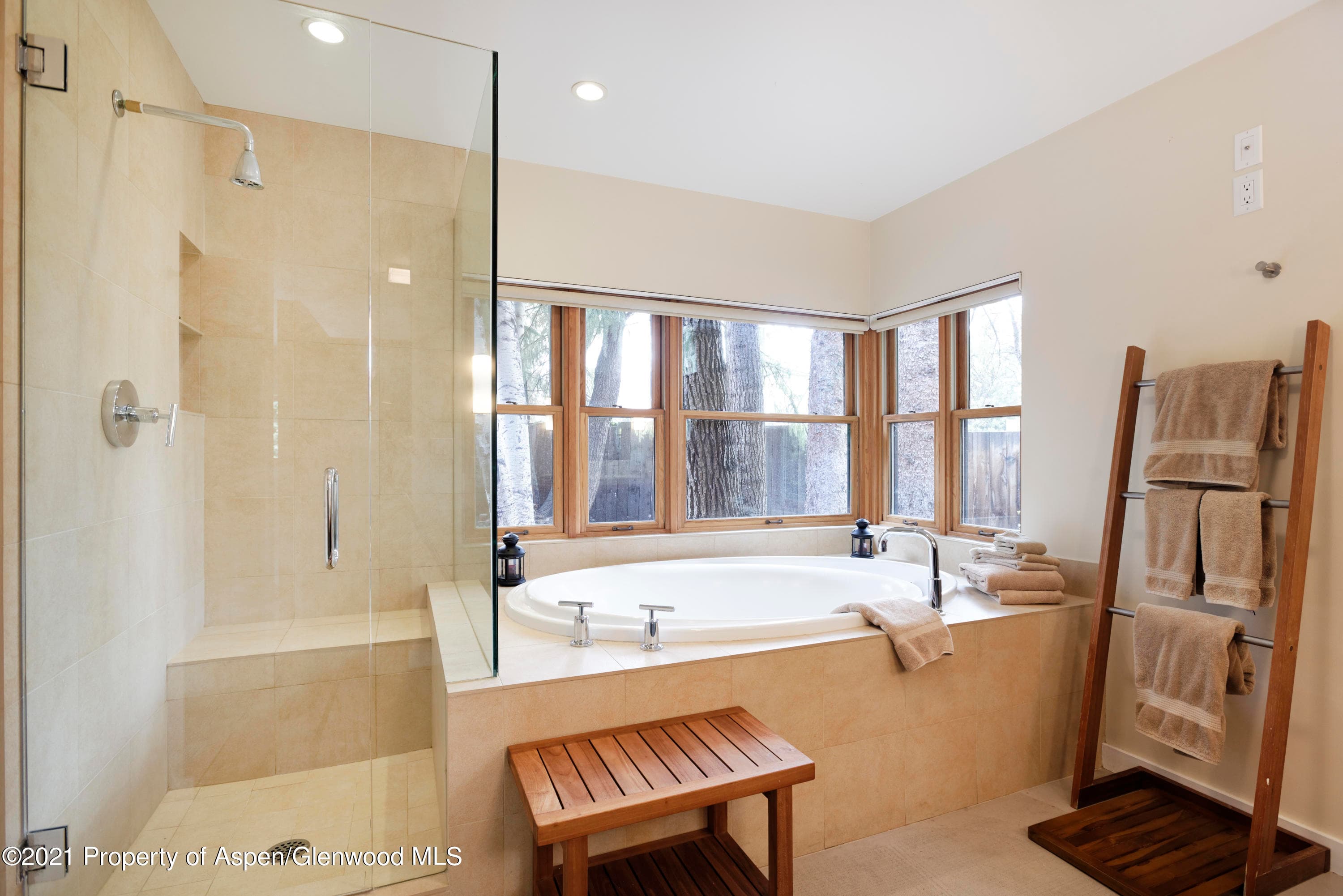 707 Castle Creek Drive 2, Aspen, CO 81611 - Photo 16