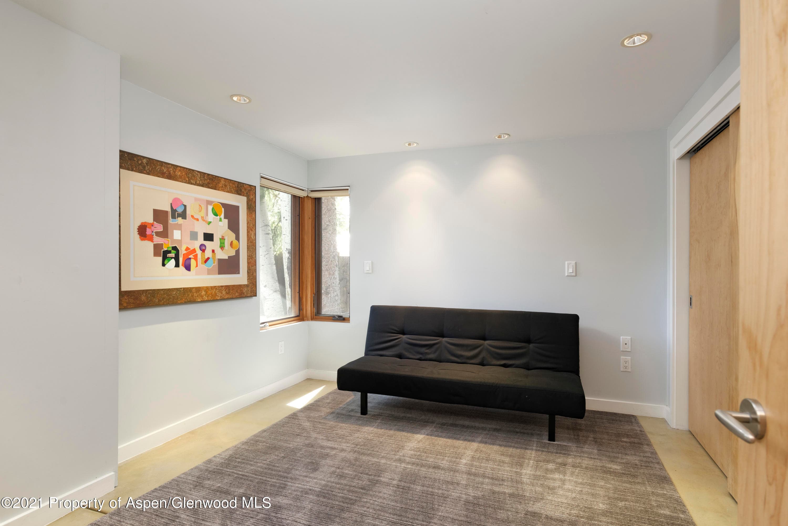707 Castle Creek Drive 2, Aspen, CO 81611 - Photo 21