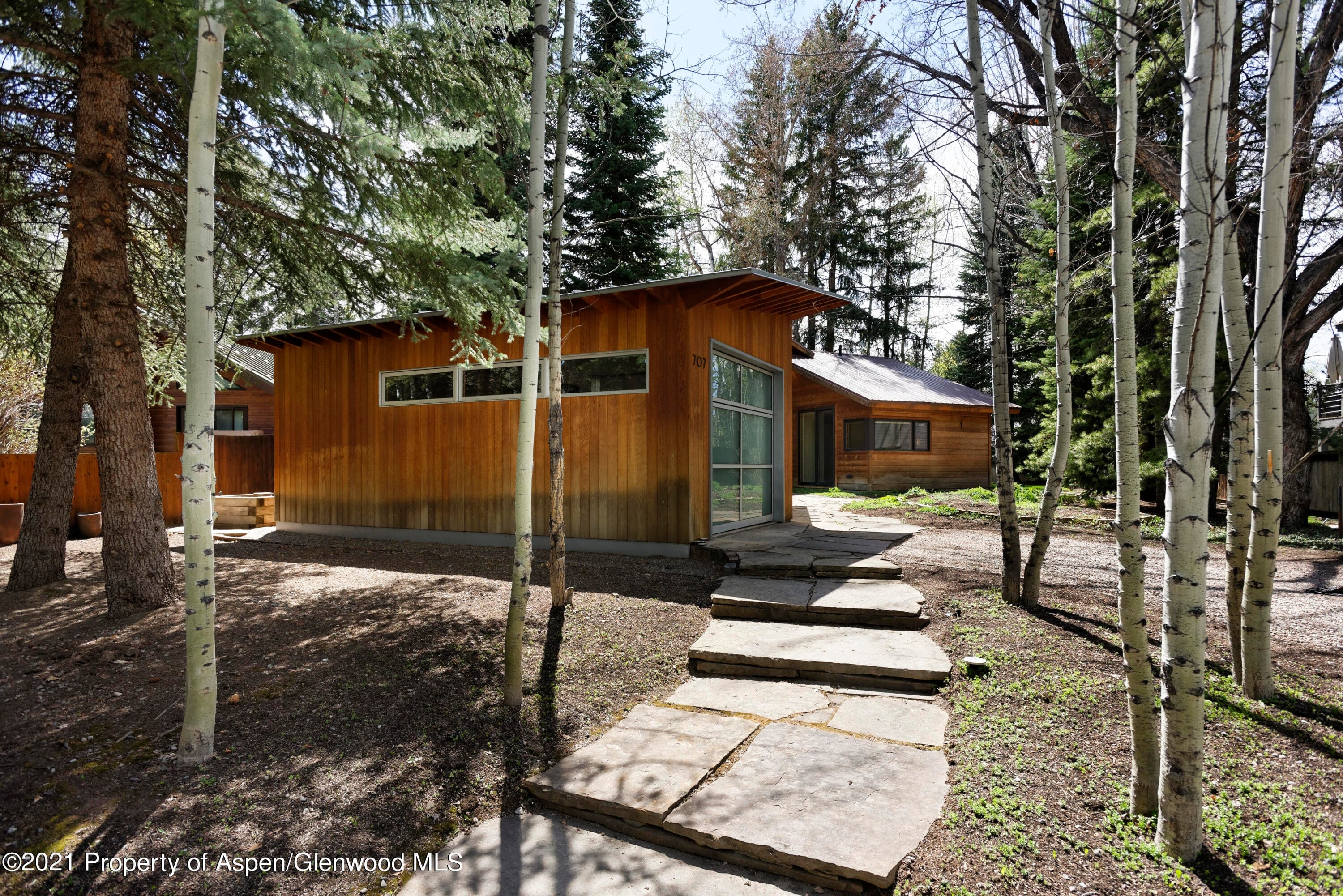 707 Castle Creek Drive 2, Aspen, CO 81611 - Photo 26