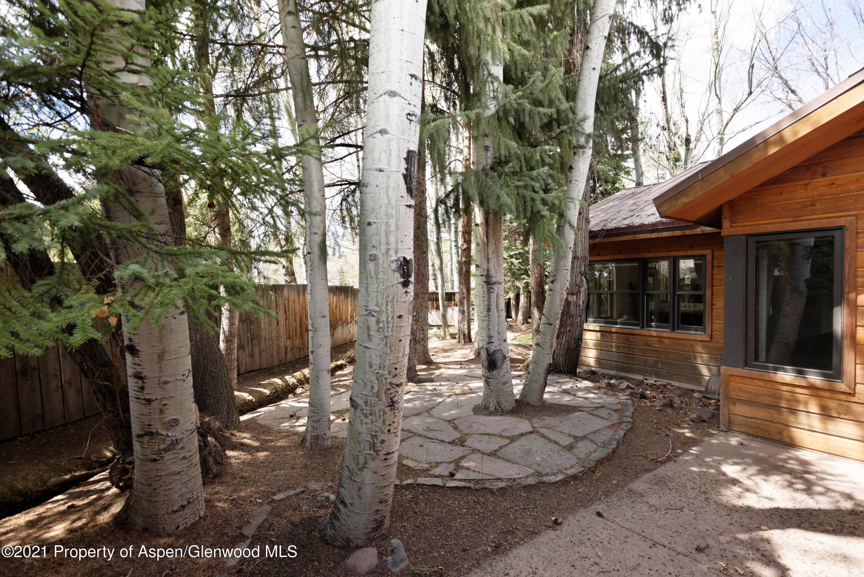 707 Castle Creek Drive 2, Aspen, CO 81611 - Photo 28