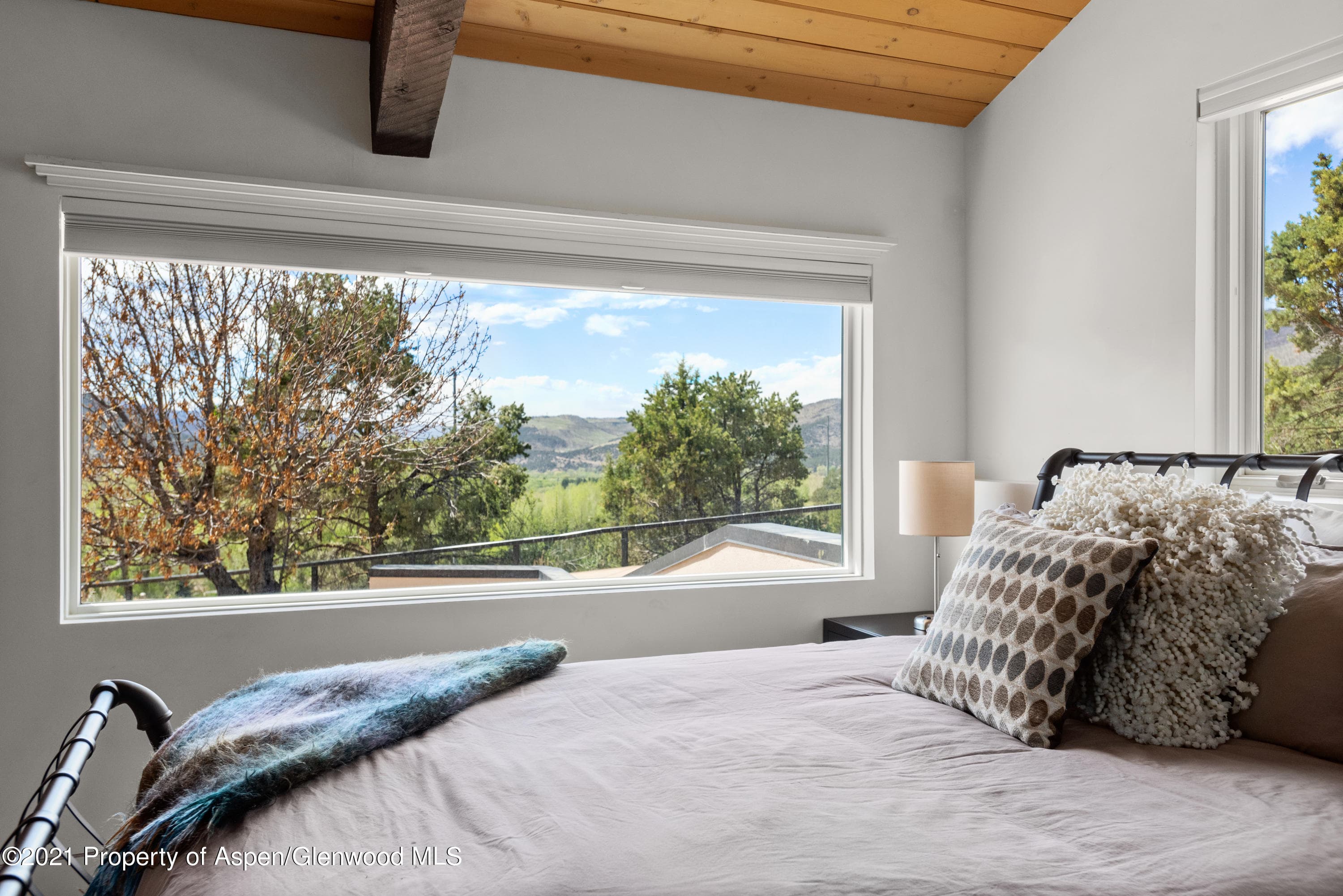 561 Booth Lane, Basalt, CO 81621 - Photo 6