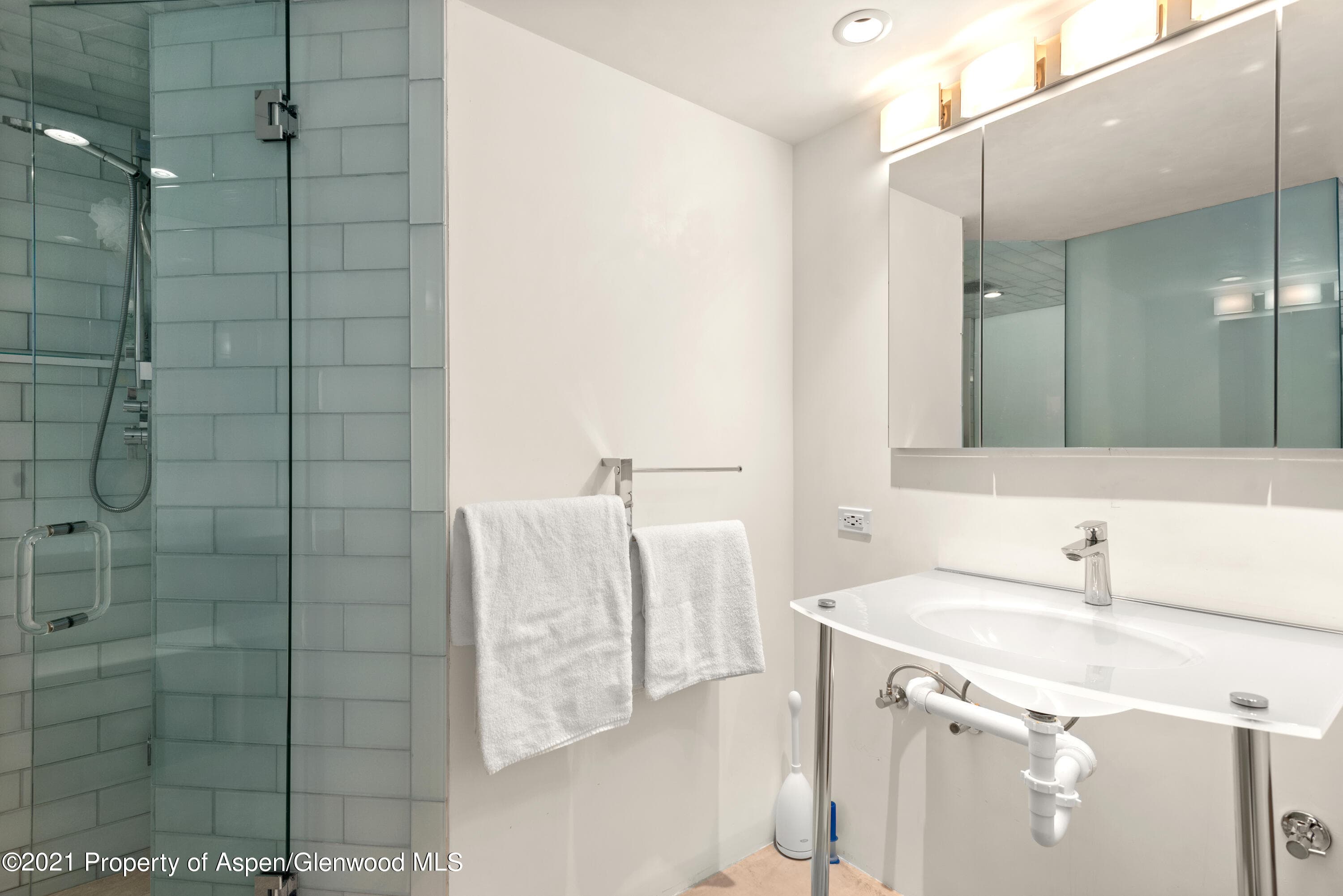 561 Booth Lane, Basalt, CO 81621 - Photo 7