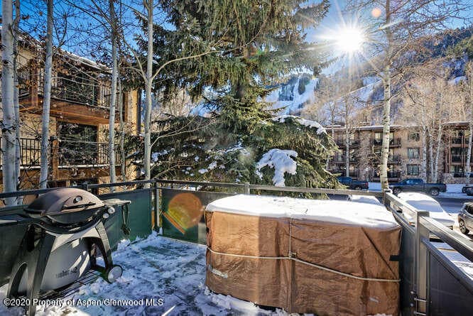 124 E Durant Avenue Unit 1, Aspen, CO 81611 - Photo 18