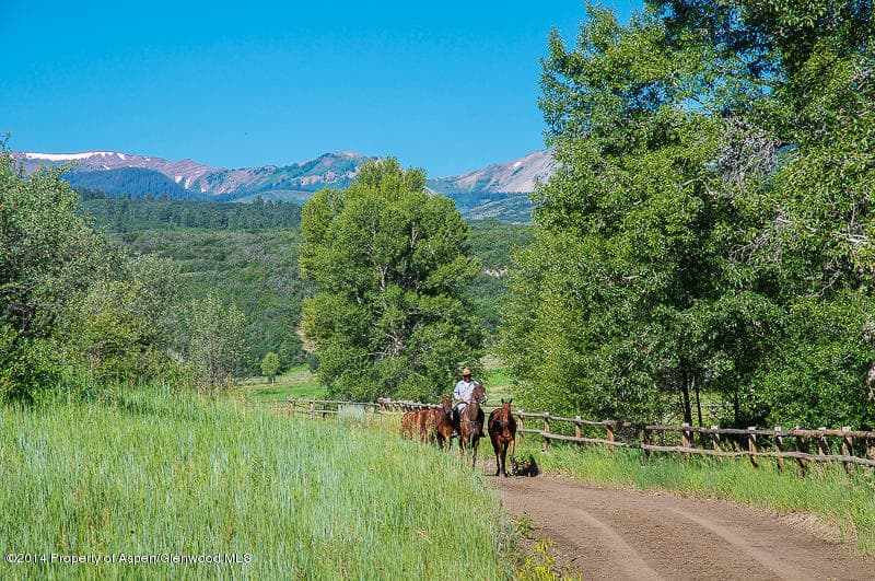 730 Rose Spur Road, Snowmass, CO 81654 - Photo 69