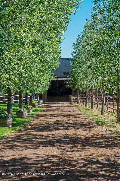 730 Rose Spur Road, Snowmass, CO 81654 - Photo 72