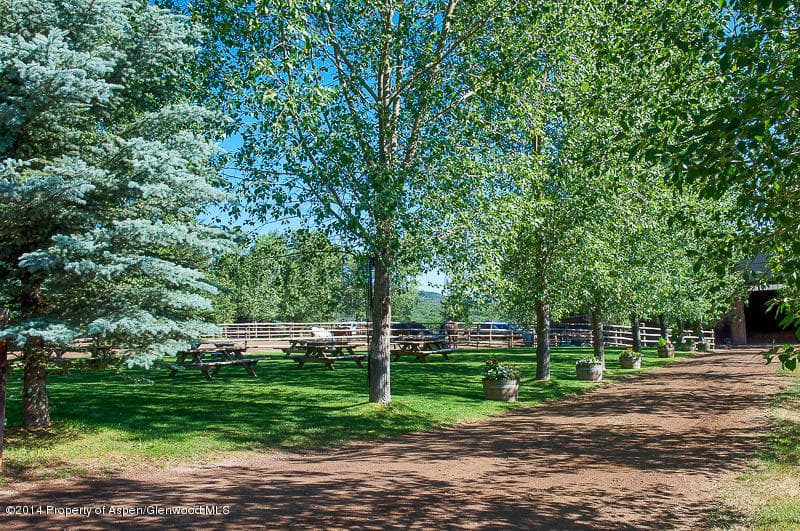 730 Rose Spur Road, Snowmass, CO 81654 - Photo 73