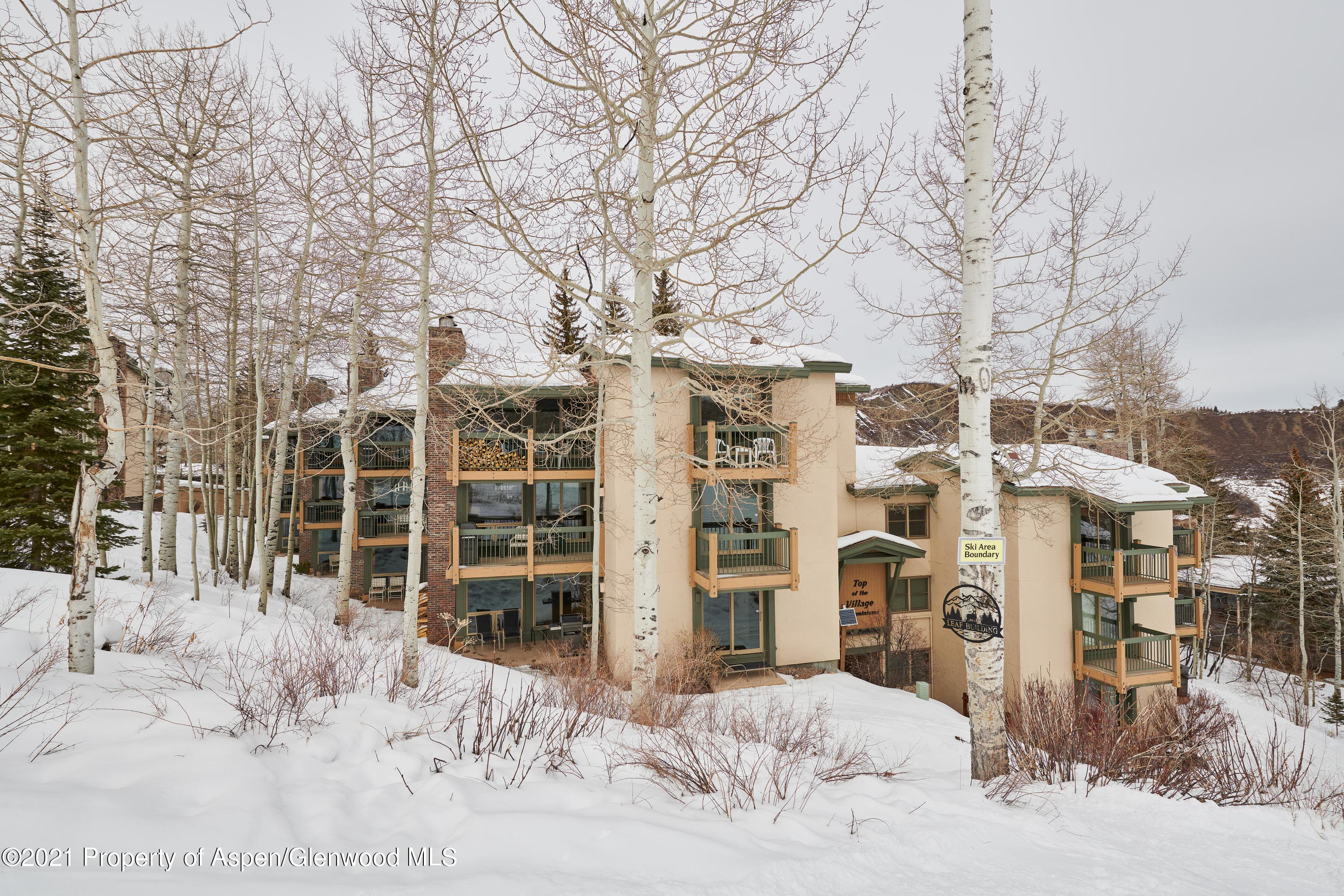 855 Carriage Way 802, Snowmass Village, CO 81615 - Photo 21