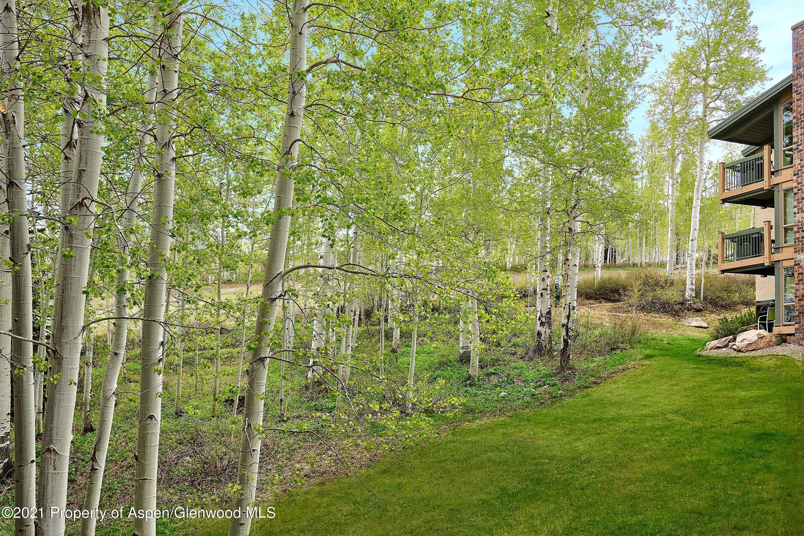 855 Carriage Way 802, Snowmass Village, CO 81615 - Photo 17