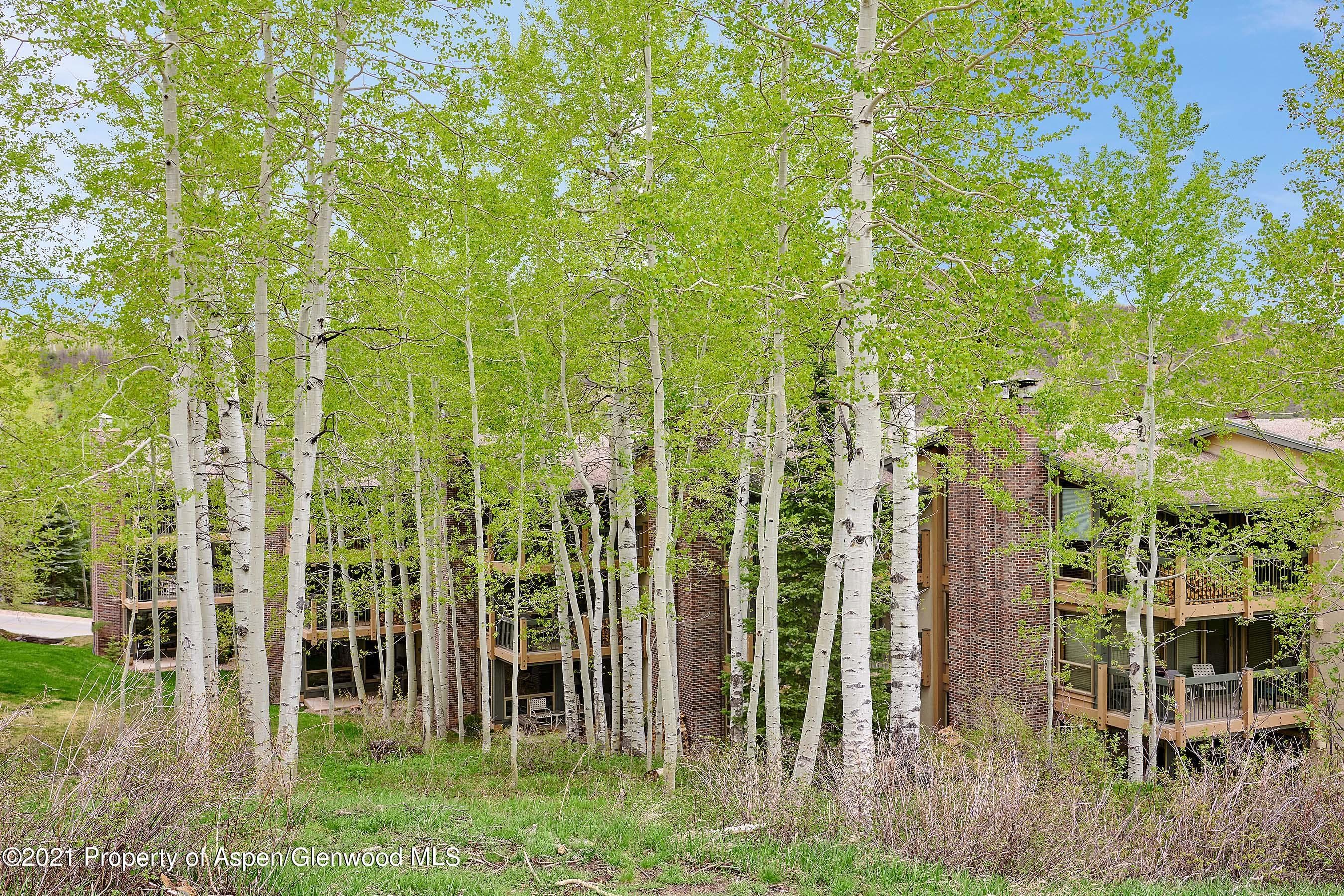 855 Carriage Way 802, Snowmass Village, CO 81615 - Photo 18