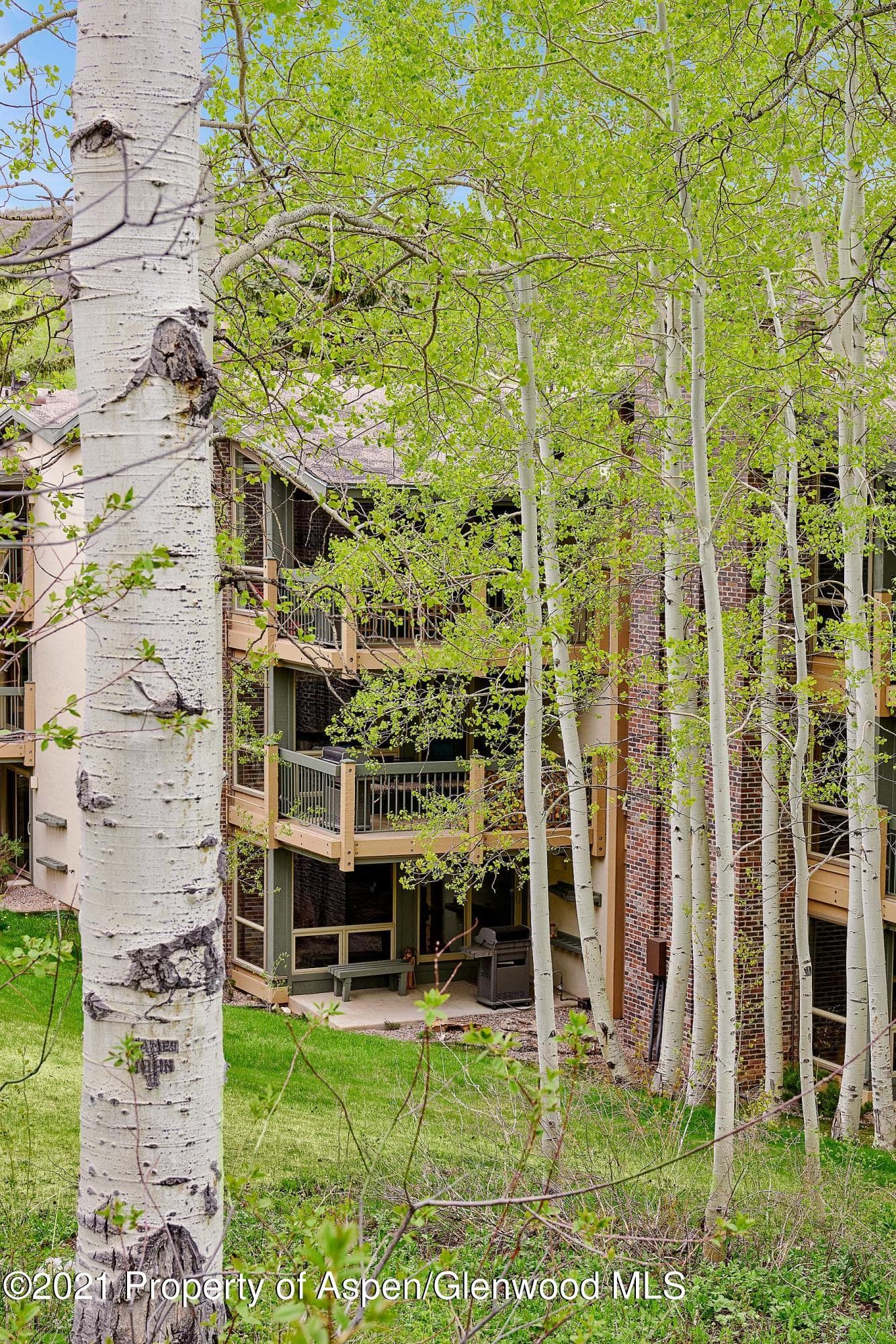 855 Carriage Way 802, Snowmass Village, CO 81615 - Photo 20