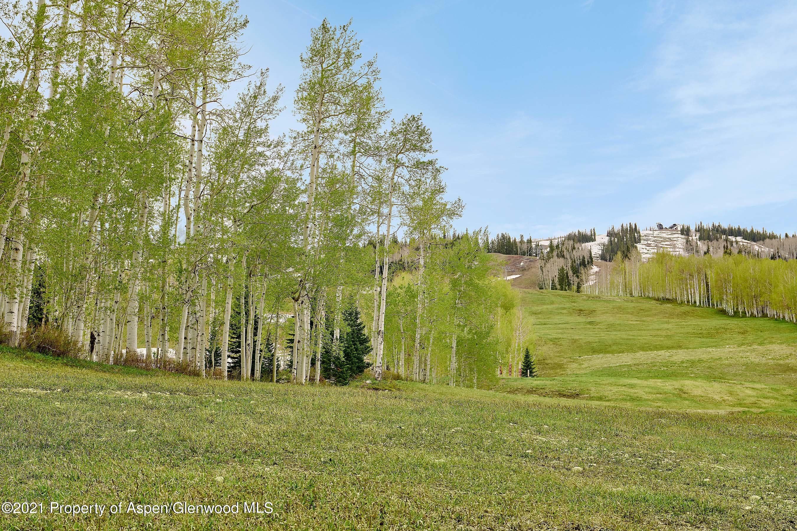855 Carriage Way 802, Snowmass Village, CO 81615 - Photo 19