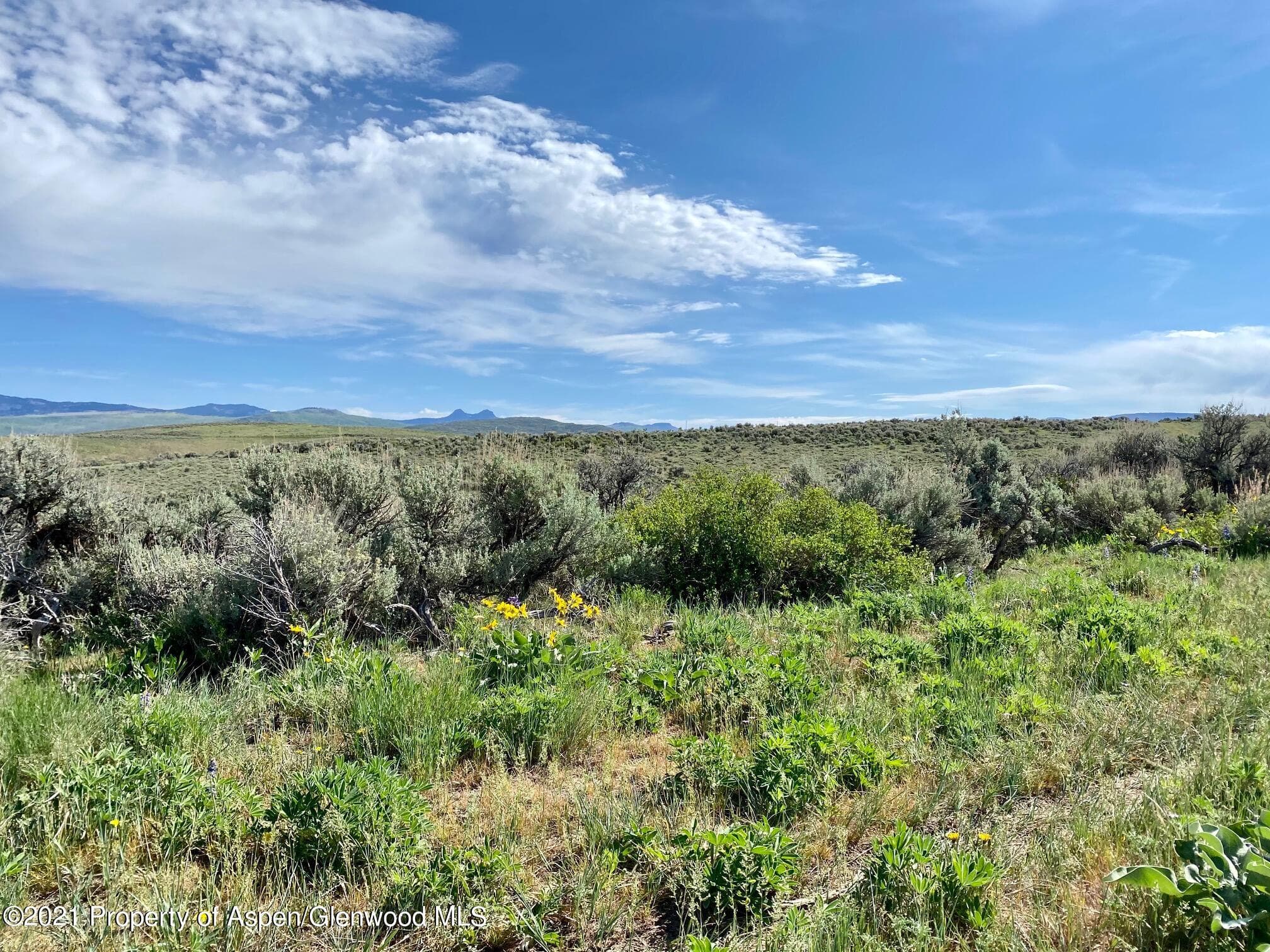 TBD County Road 18, Craig, CO 81625 - Photo 7