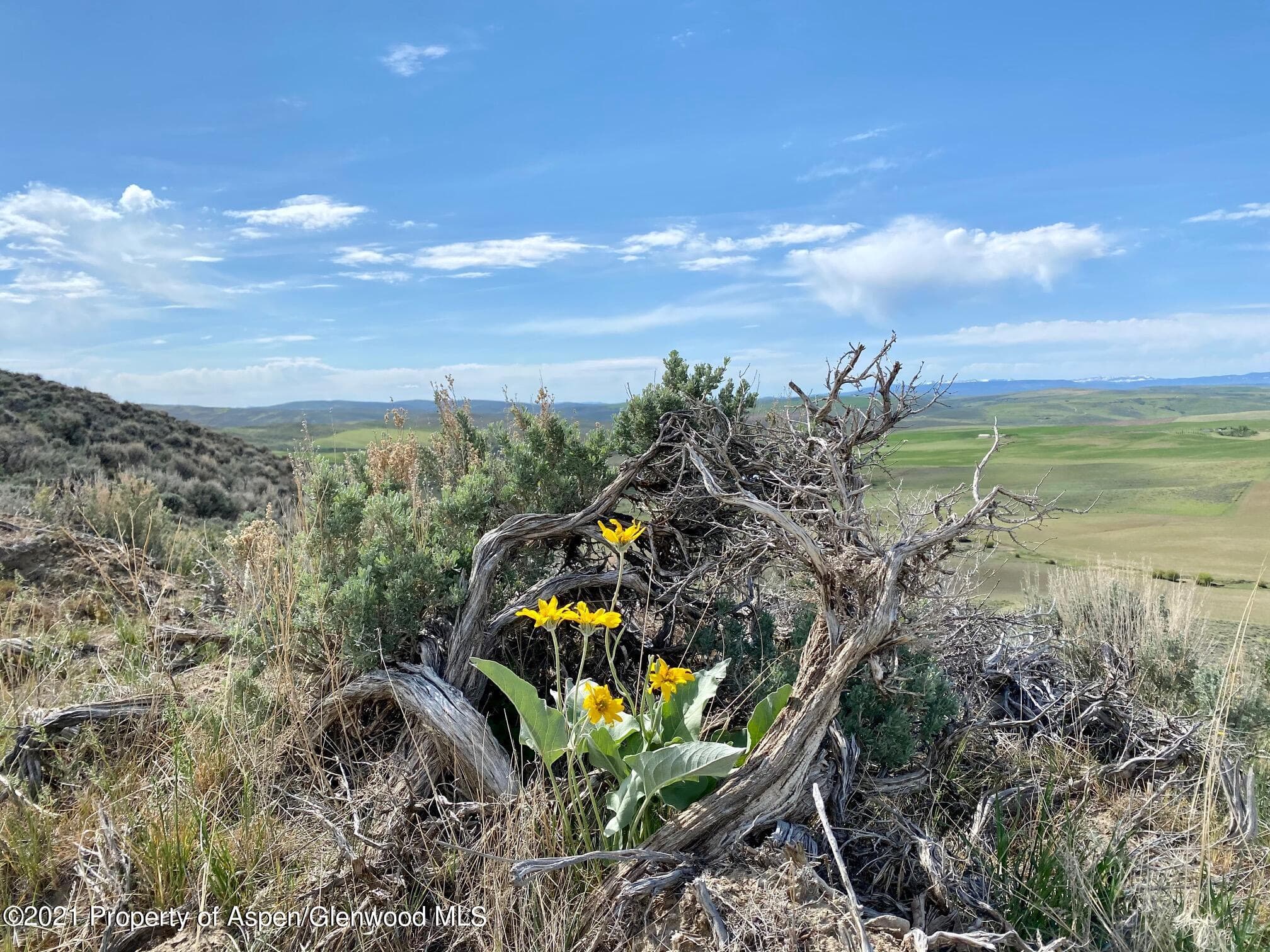 TBD County Road 18, Craig, CO 81625 - Photo 6
