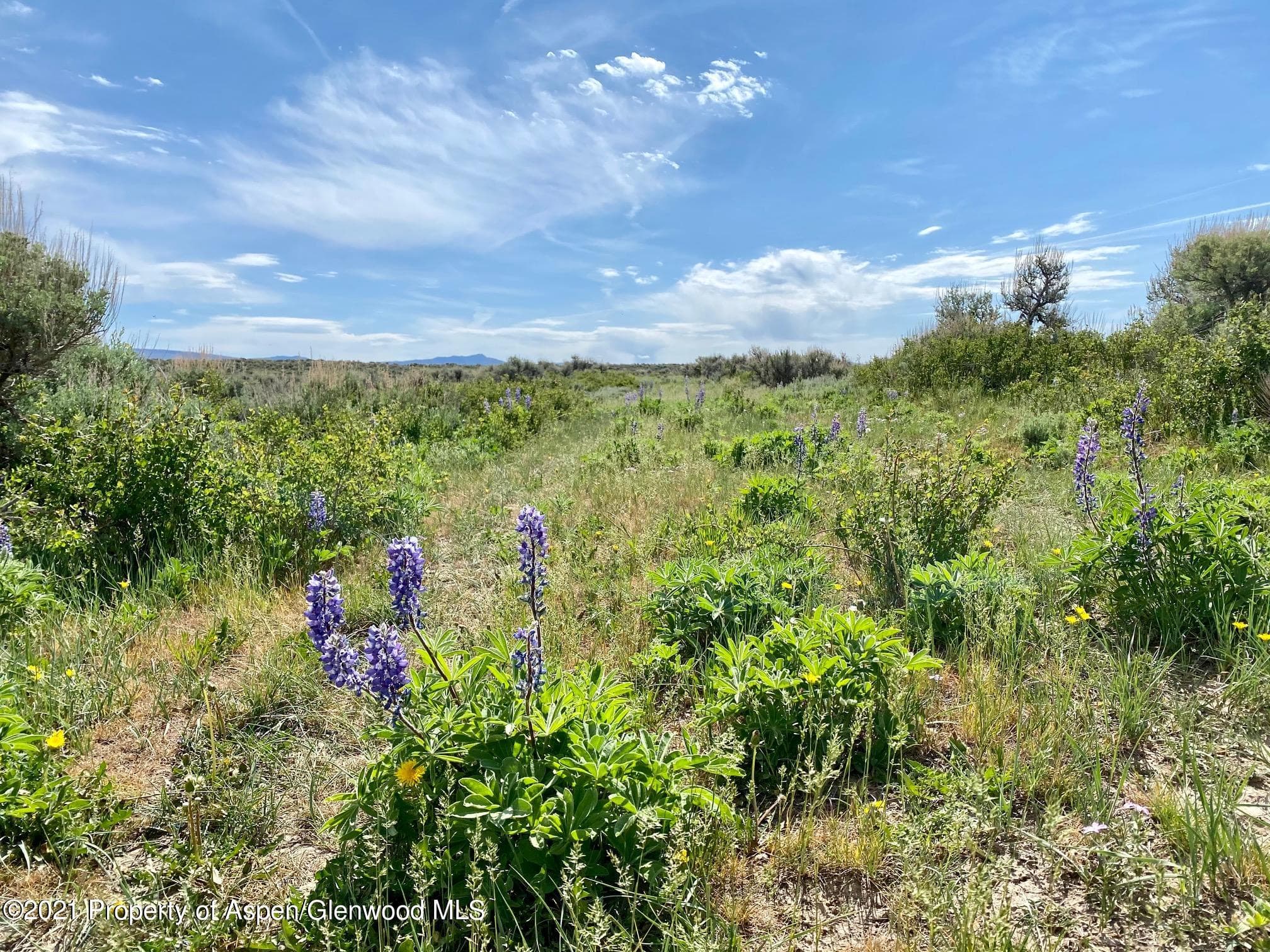 TBD County Road 18, Craig, CO 81625 - Photo 10