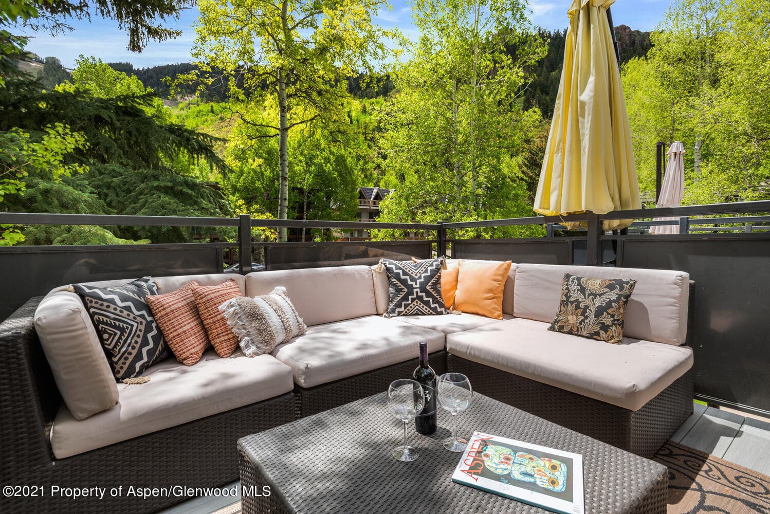 124 E Durant Avenue Unit 1, Aspen, CO 81611 - Photo 1