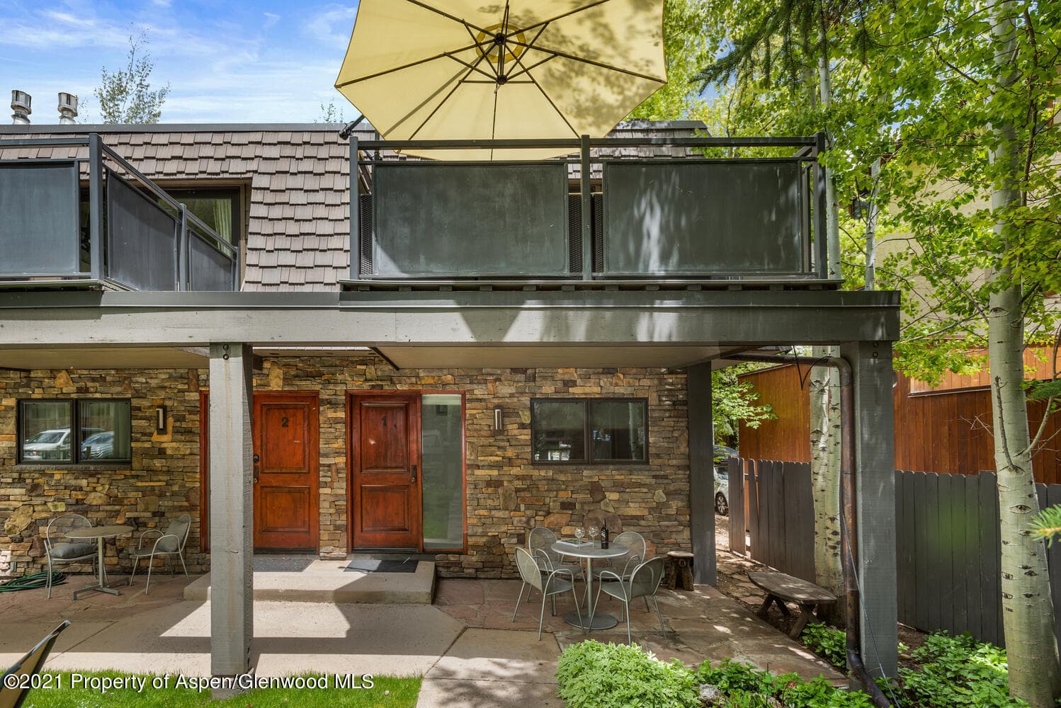 124 E Durant Avenue Unit 1, Aspen, CO 81611 - Photo 12