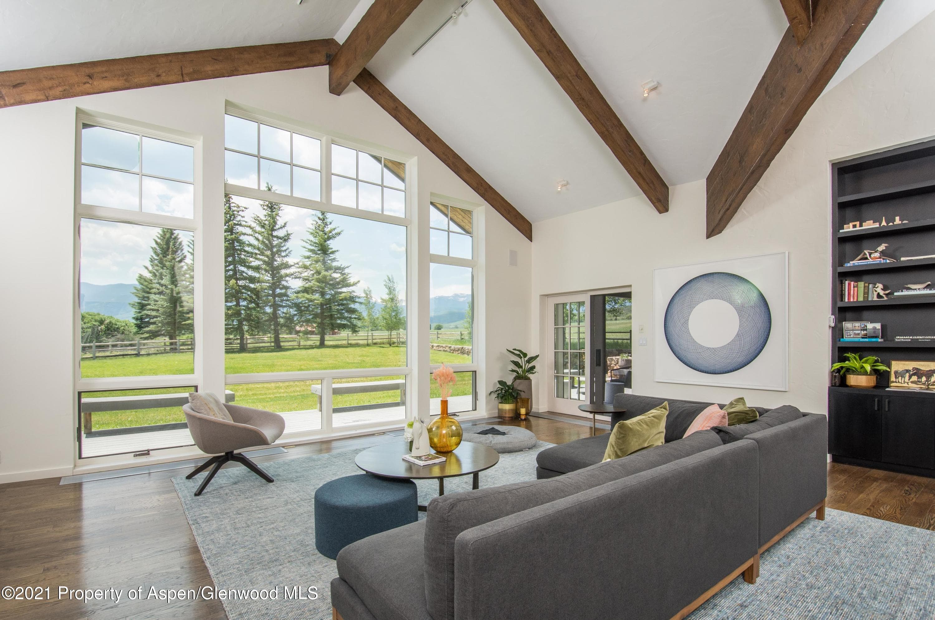 730 Rose Spur Road, Snowmass, CO 81654 - Photo 6