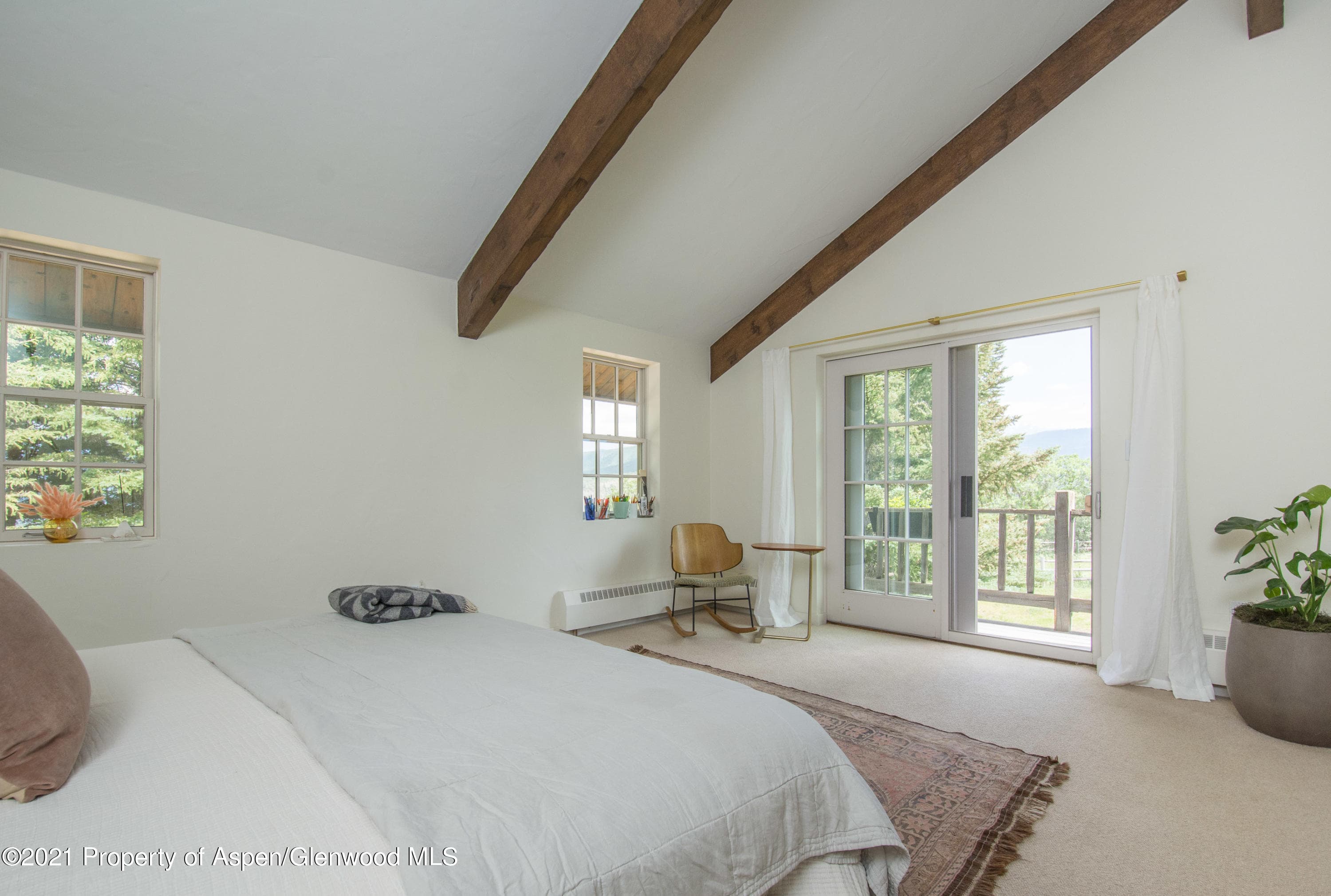 730 Rose Spur Road, Snowmass, CO 81654 - Photo 21