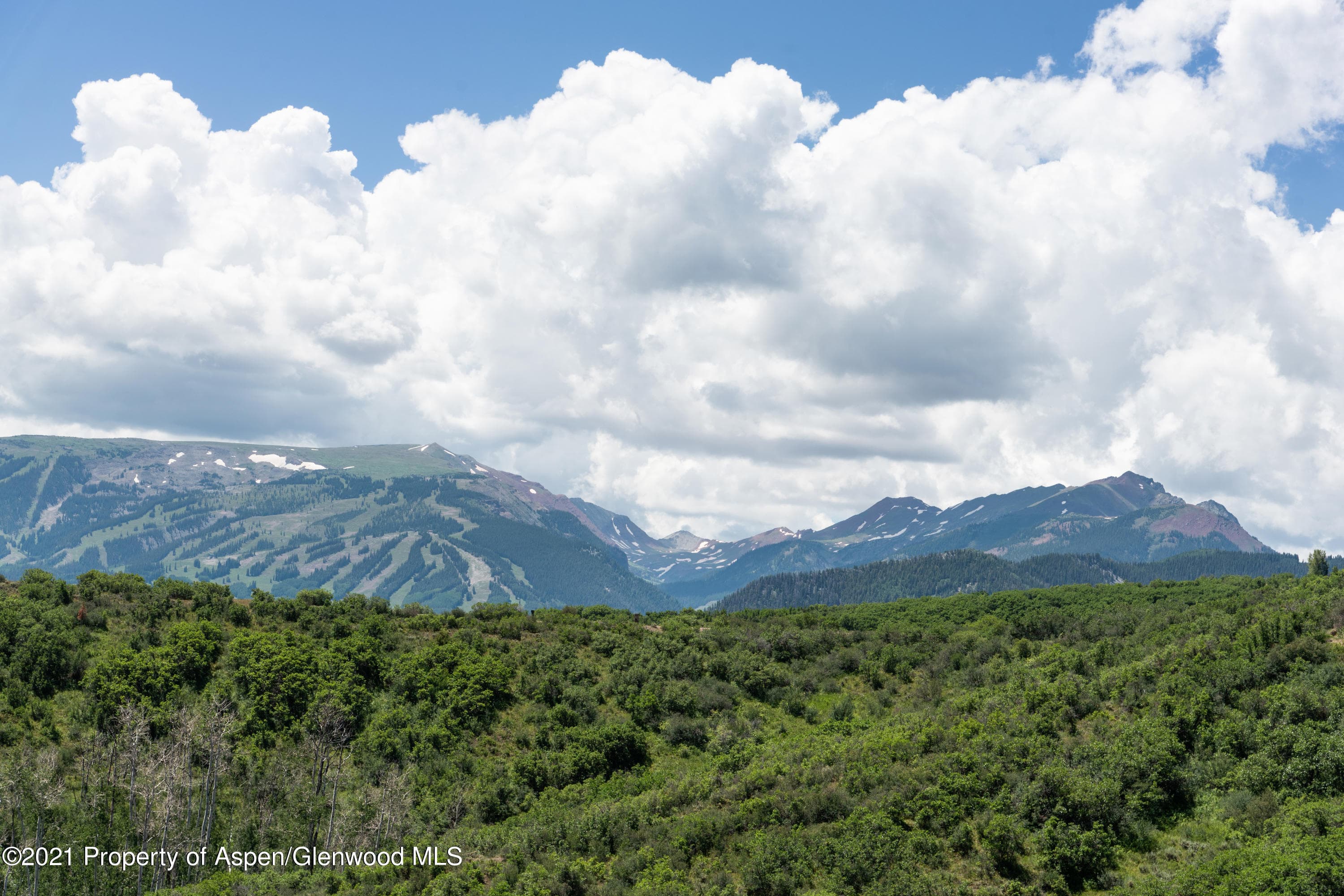 343 Monastery Cutoff Road, Snowmass, CO 81654 - Photo 43