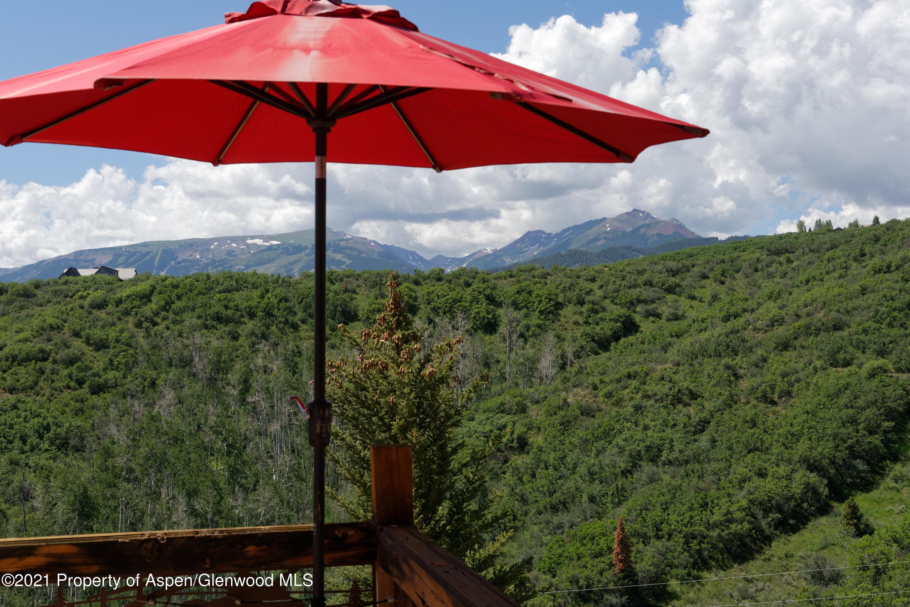 343 Monastery Cutoff Road, Snowmass, CO 81654 - Photo 37