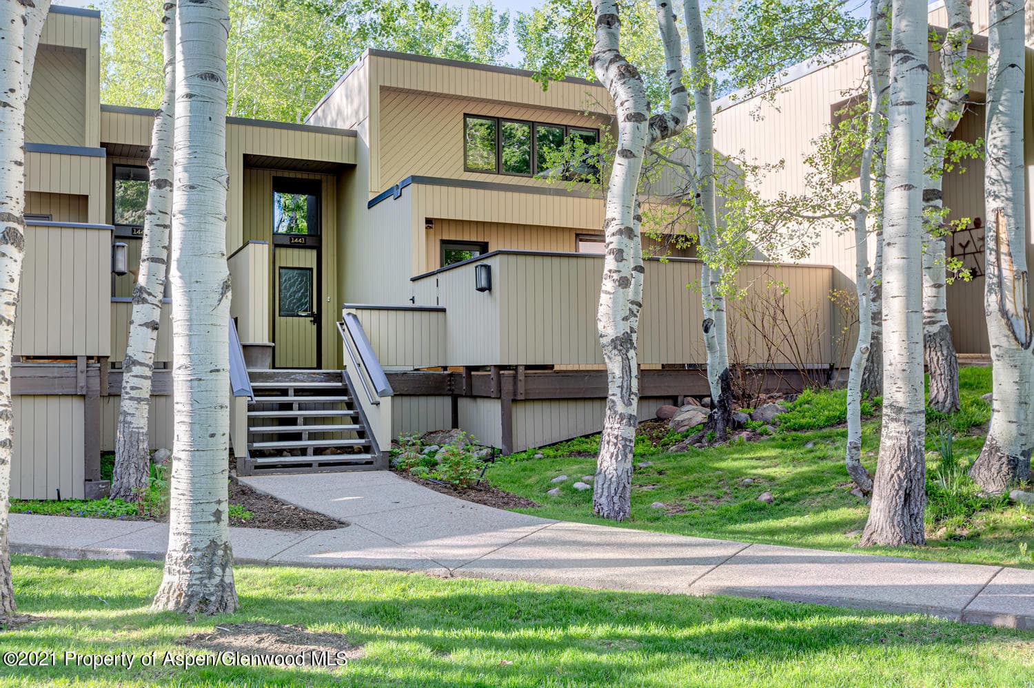 1441 Crystal Lake Road 2, Aspen, CO 81611