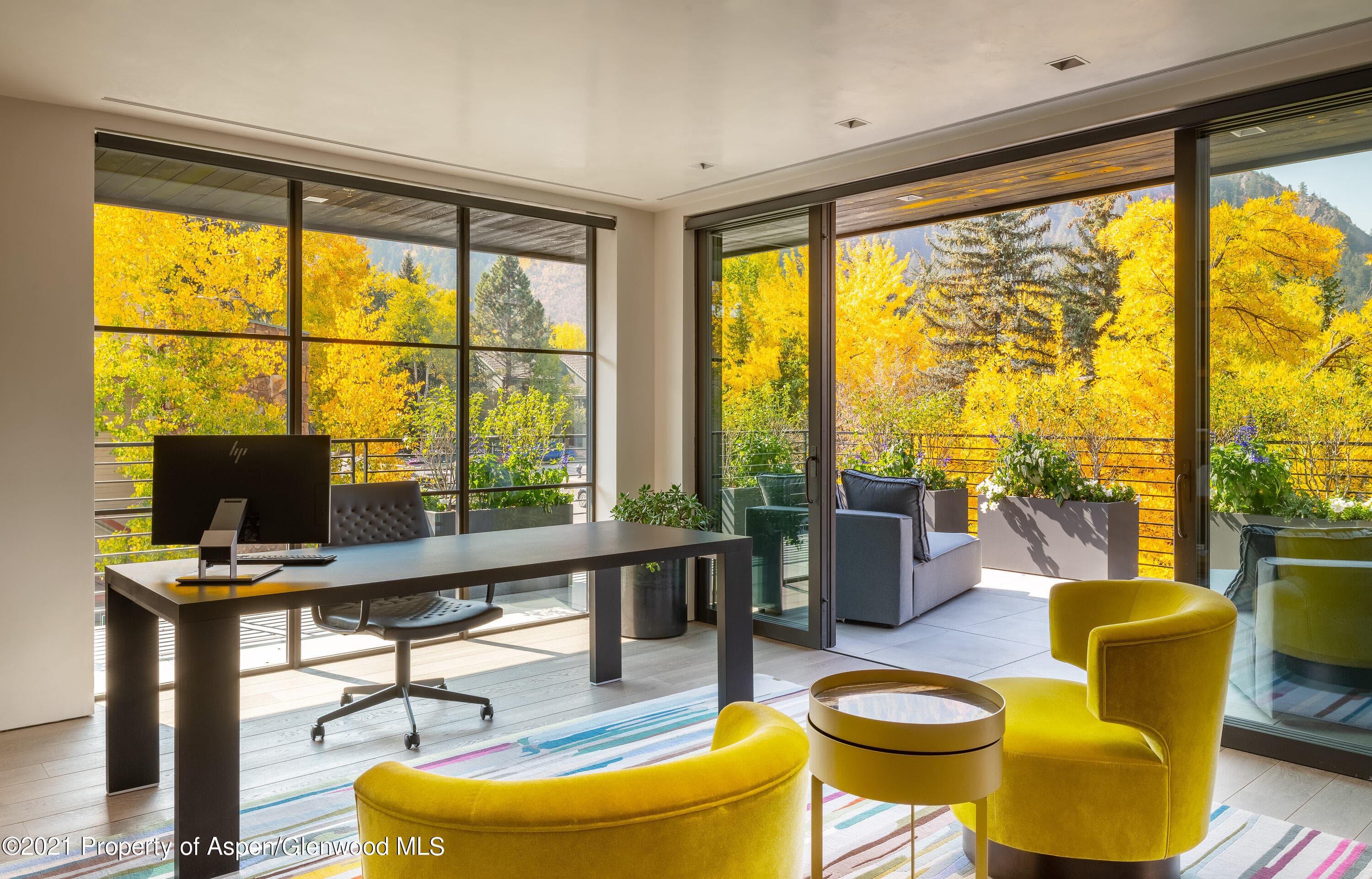 200 S Aspen Street, Aspen, CO 81611 - Photo 34