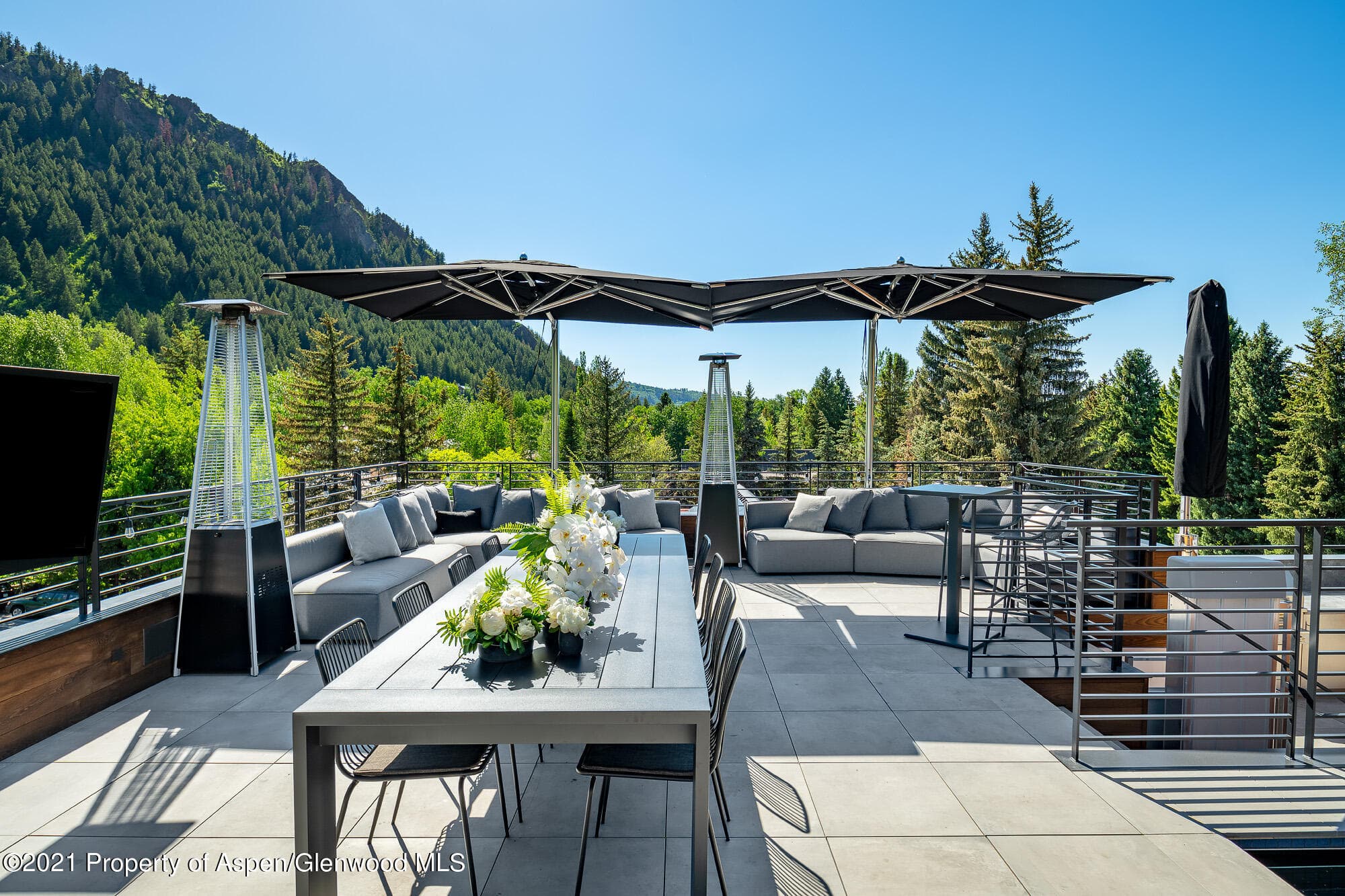 200 S Aspen Street, Aspen, CO 81611 - Photo 7