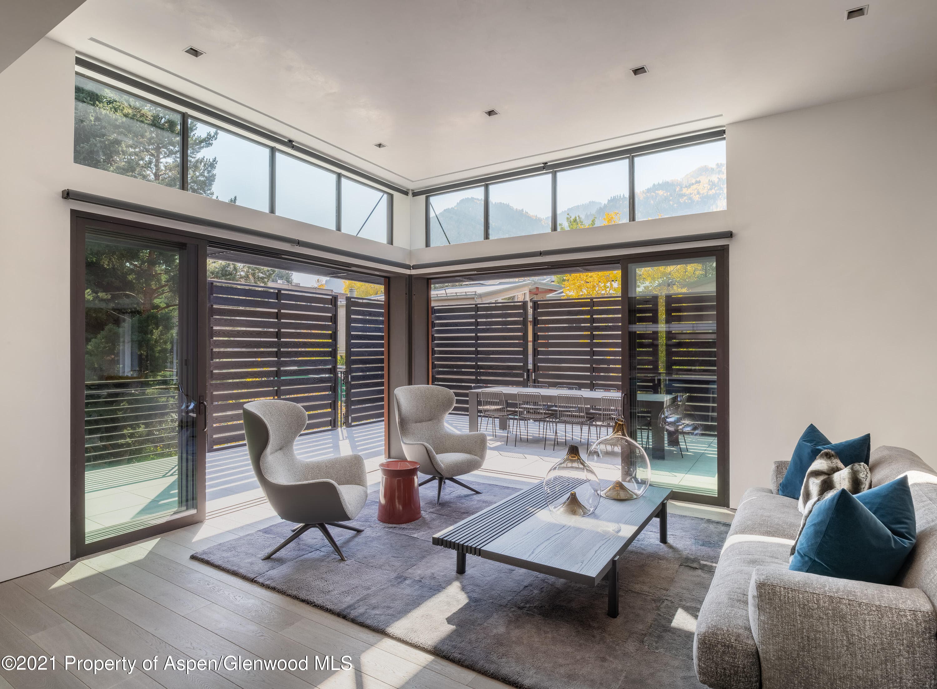 200 S Aspen Street, Aspen, CO 81611 - Photo 28