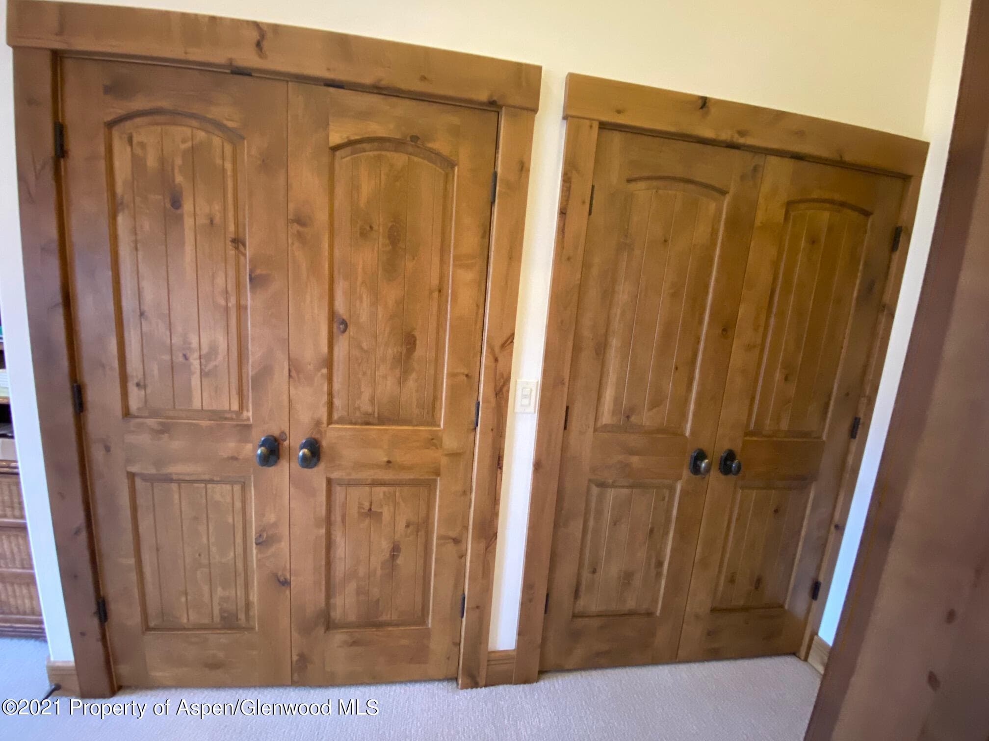 142 Juniper Trail, Basalt, CO 81621 - Photo 8