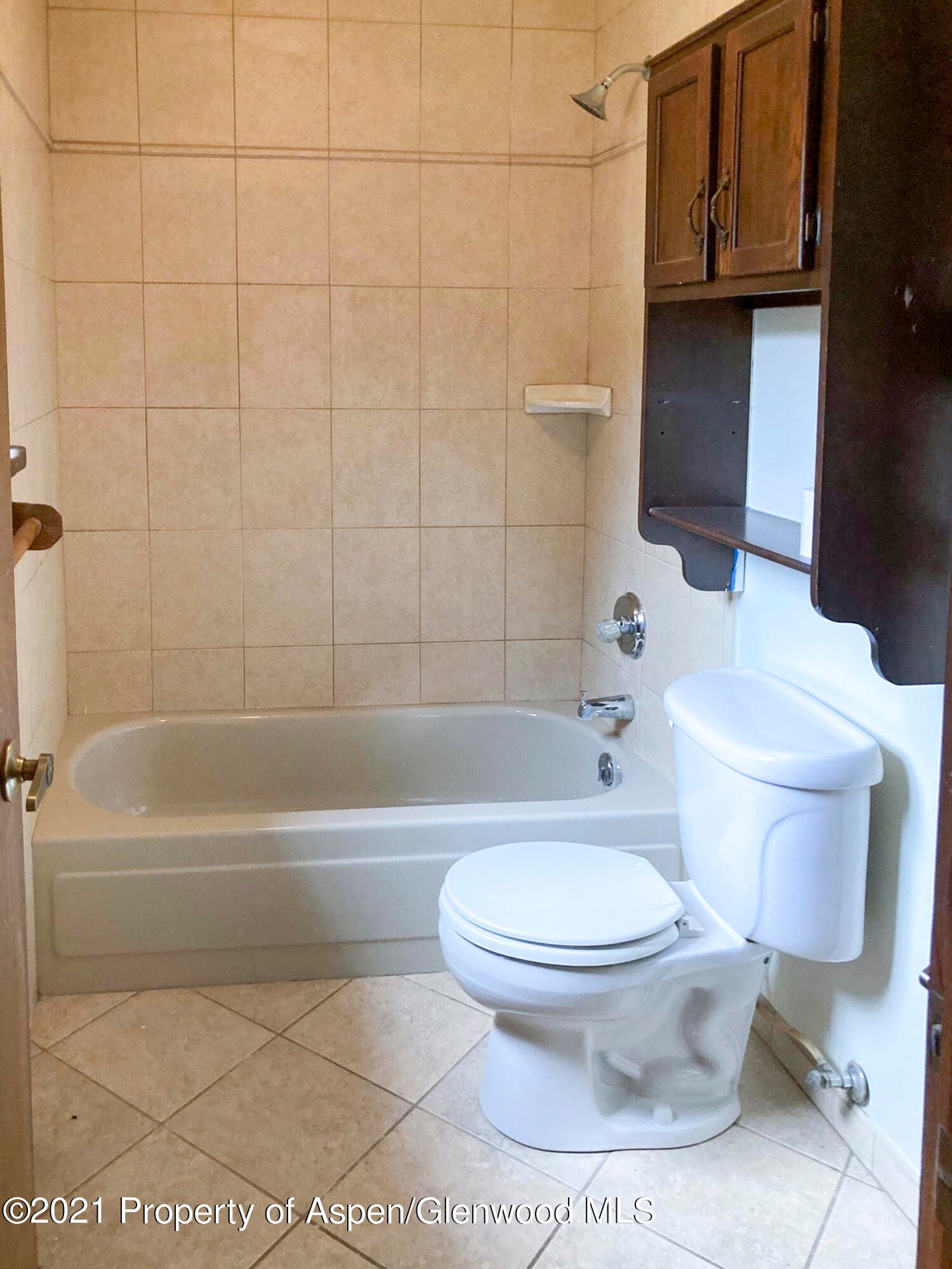 126 Kiowa, Carbondale, CO 81623 - Photo 26
