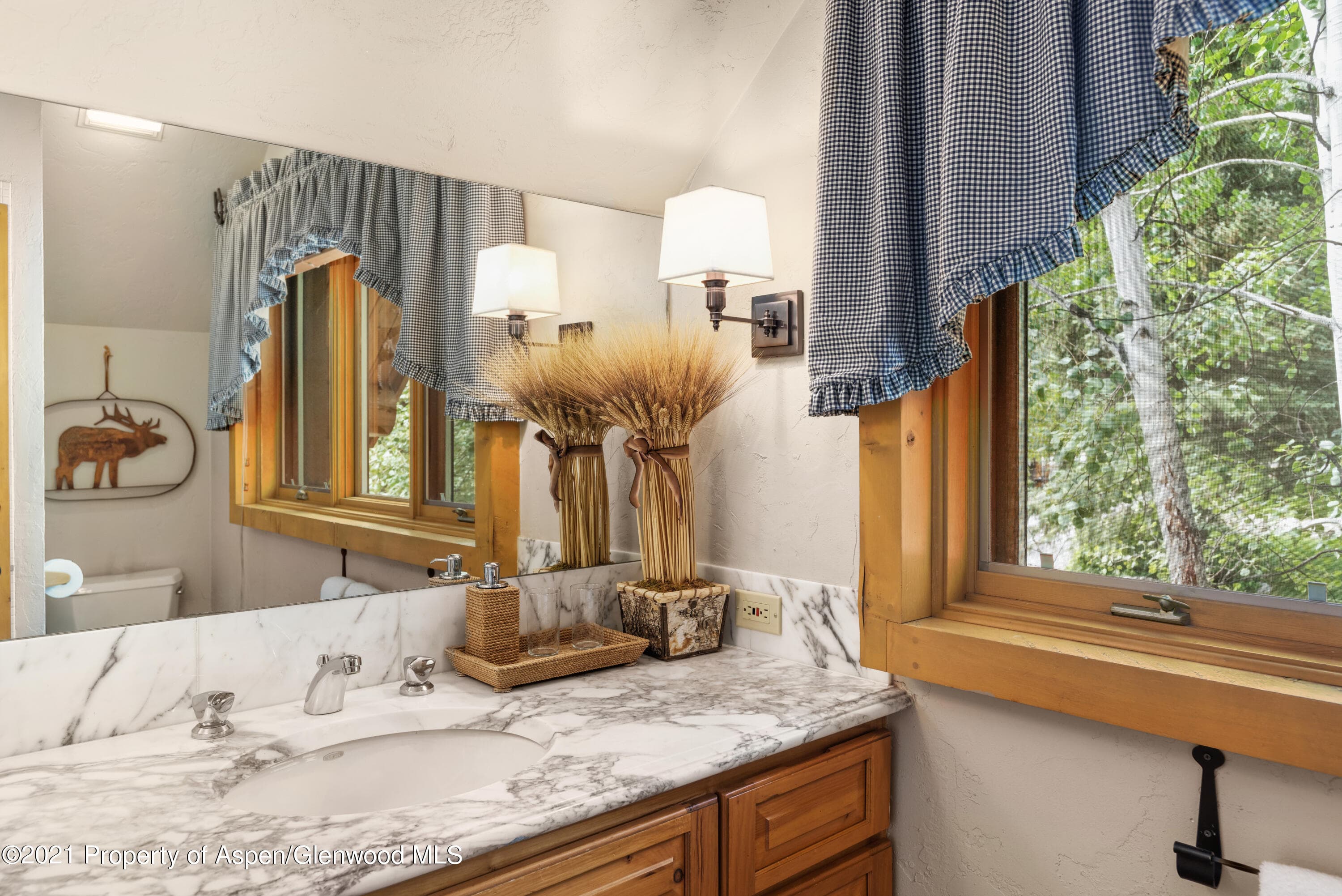 770 Twining Flats Rd, Woody Creek, CO 81656 - Photo 45