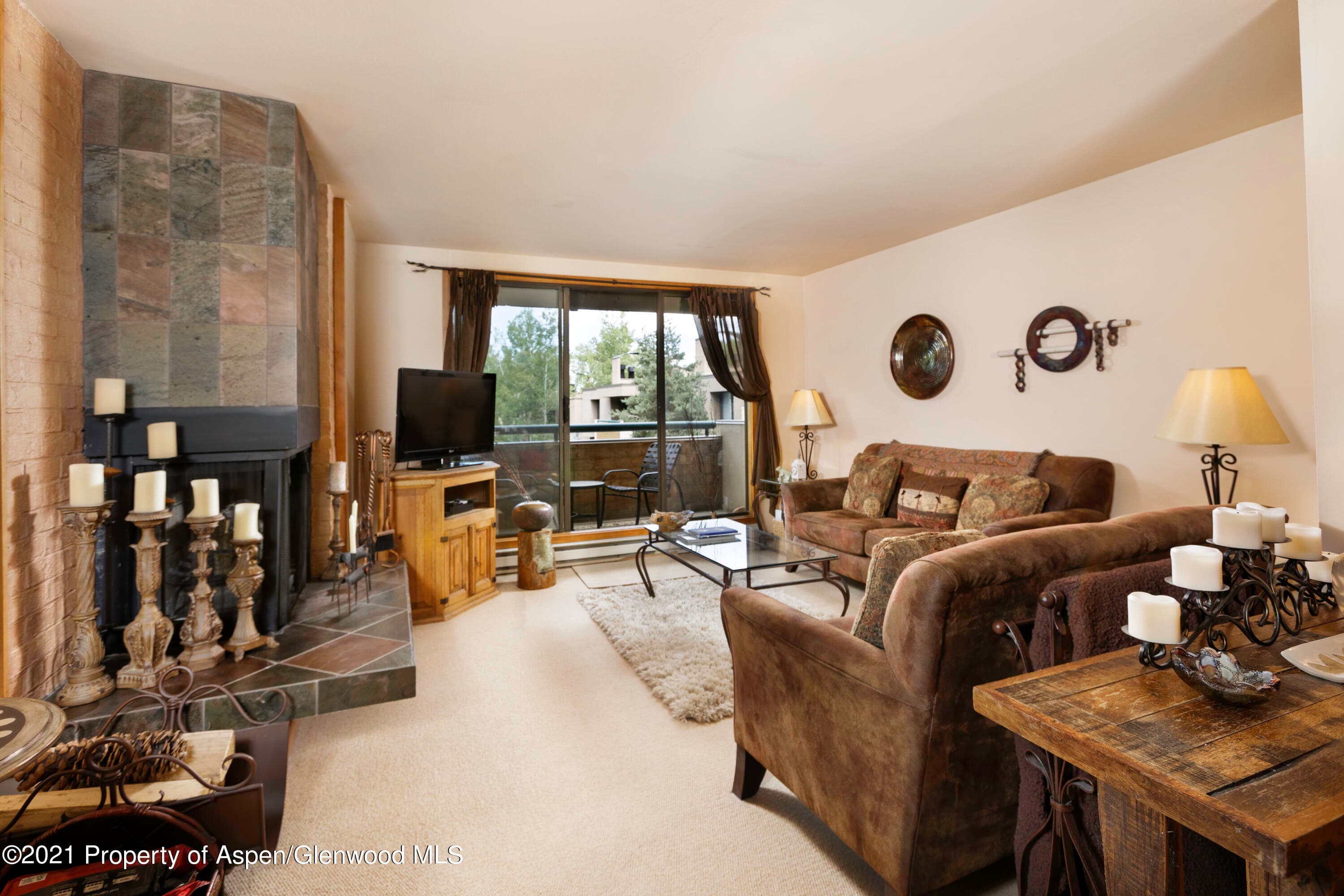 1028 E Hopkins Avenue Unit #24, Aspen, CO 81611