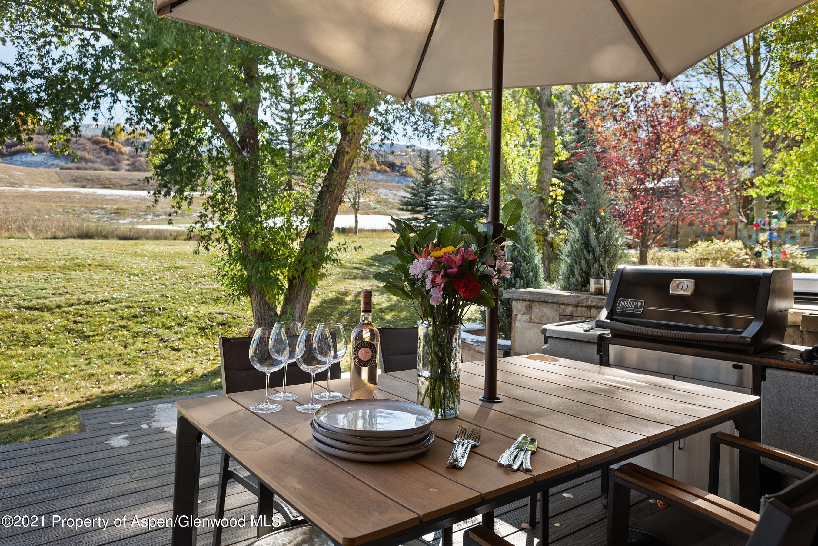 408 Snowmass Club Circle Unit 10, Snowmass Village, CO 81615 - Photo 23