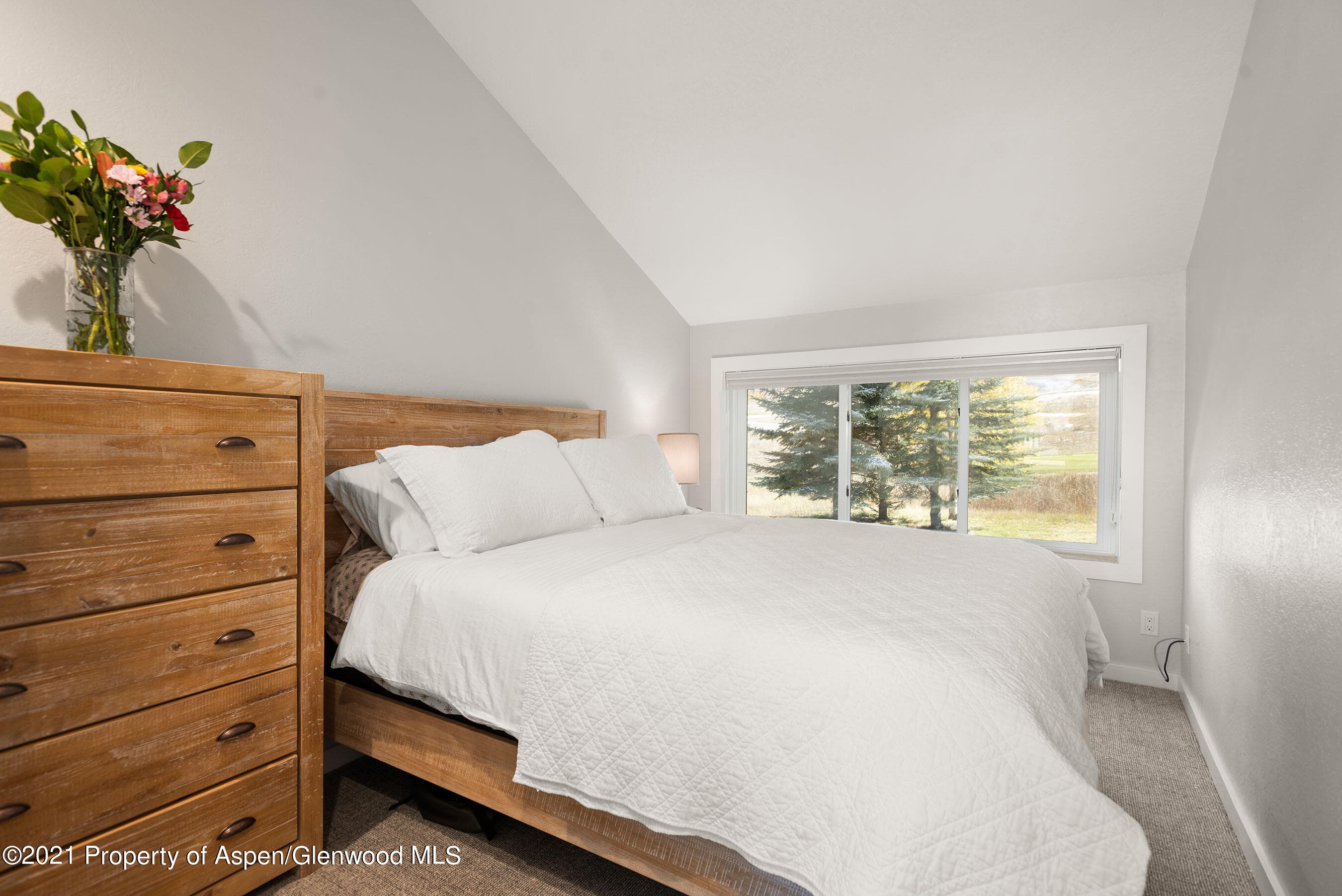 408 Snowmass Club Circle Unit 10, Snowmass Village, CO 81615 - Photo 13