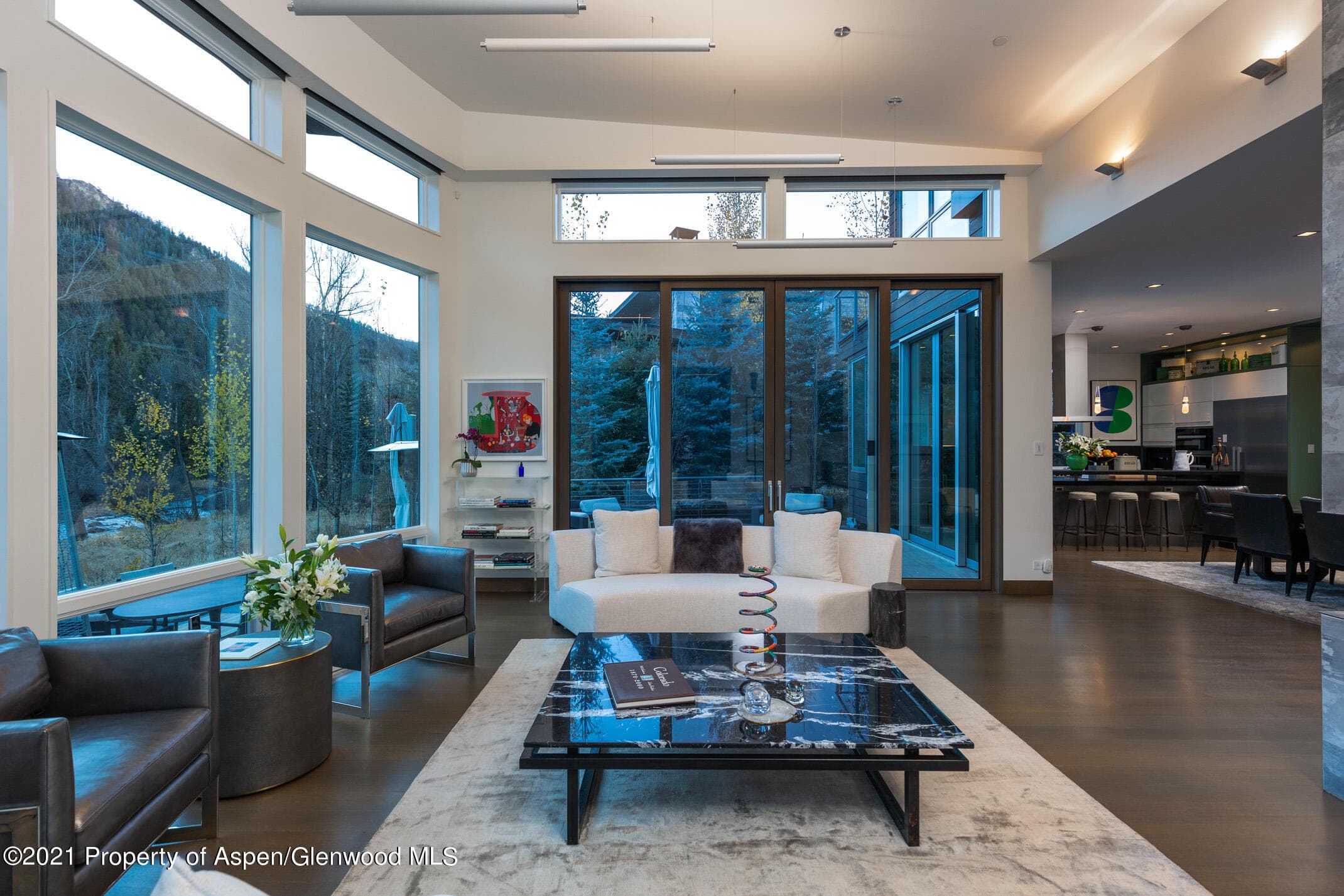 79 Winter Way, Aspen, CO 81611 - Photo 3