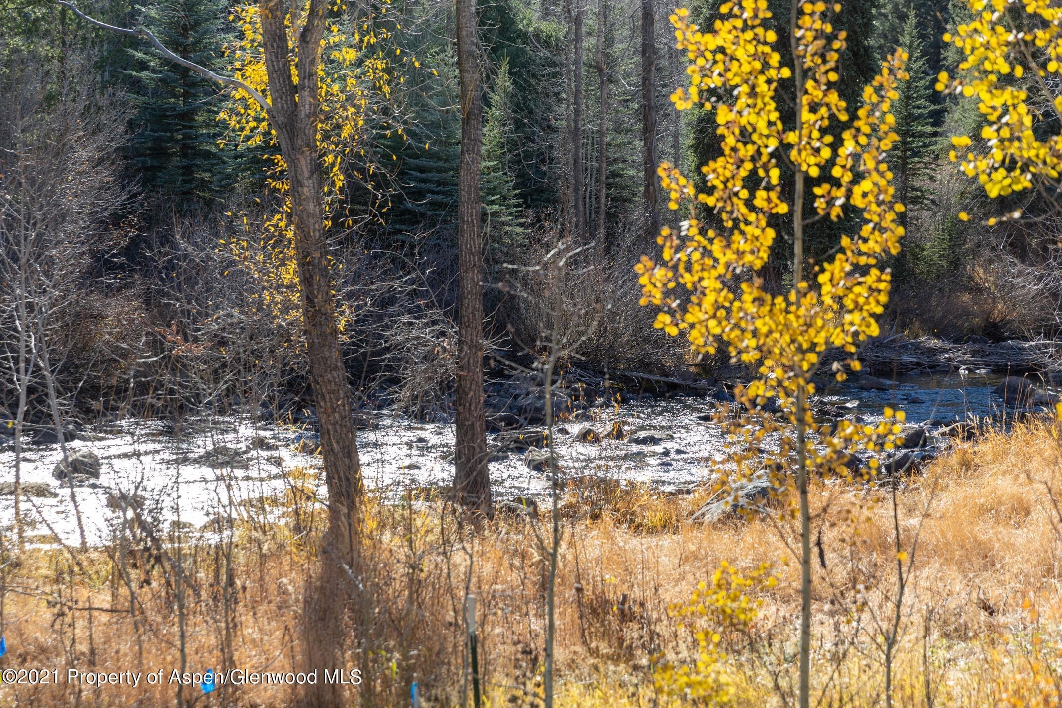 79 Winter Way, Aspen, CO 81611 - Photo 40