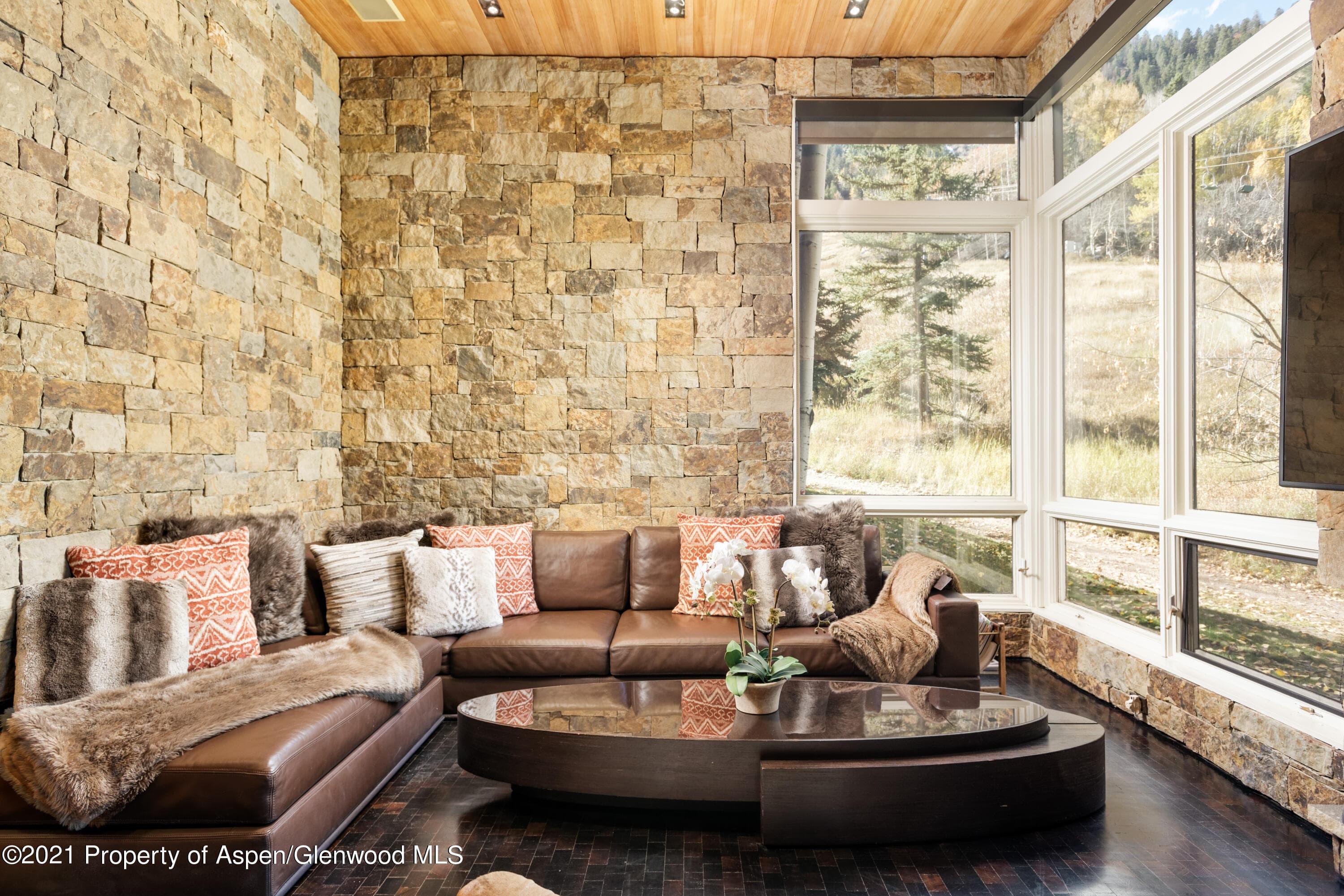 800 S Monarch Street #4, Aspen, CO 81611 - Photo 4