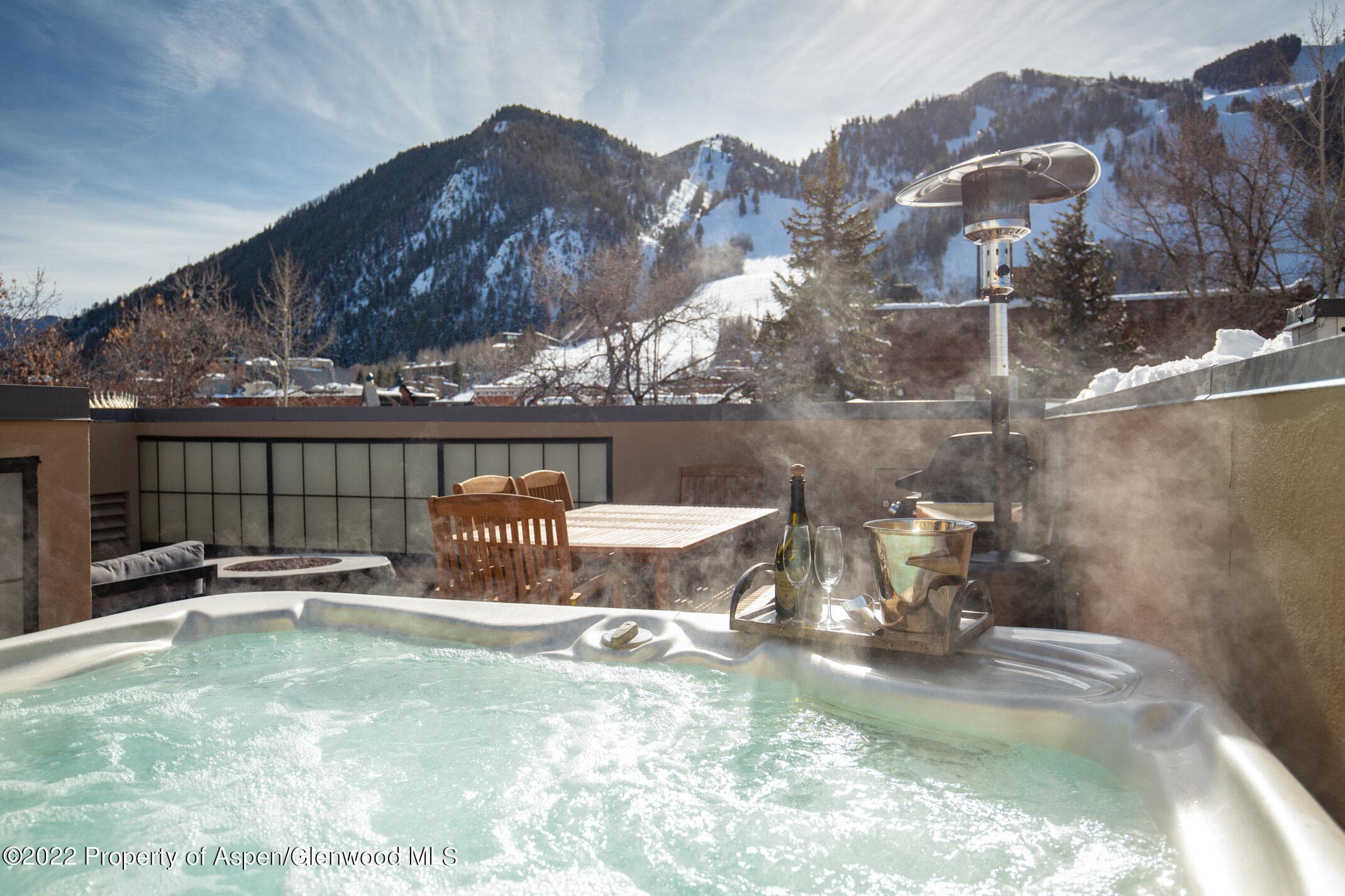 428 E Hyman Avenue A, Aspen, CO 81611 - Photo 16