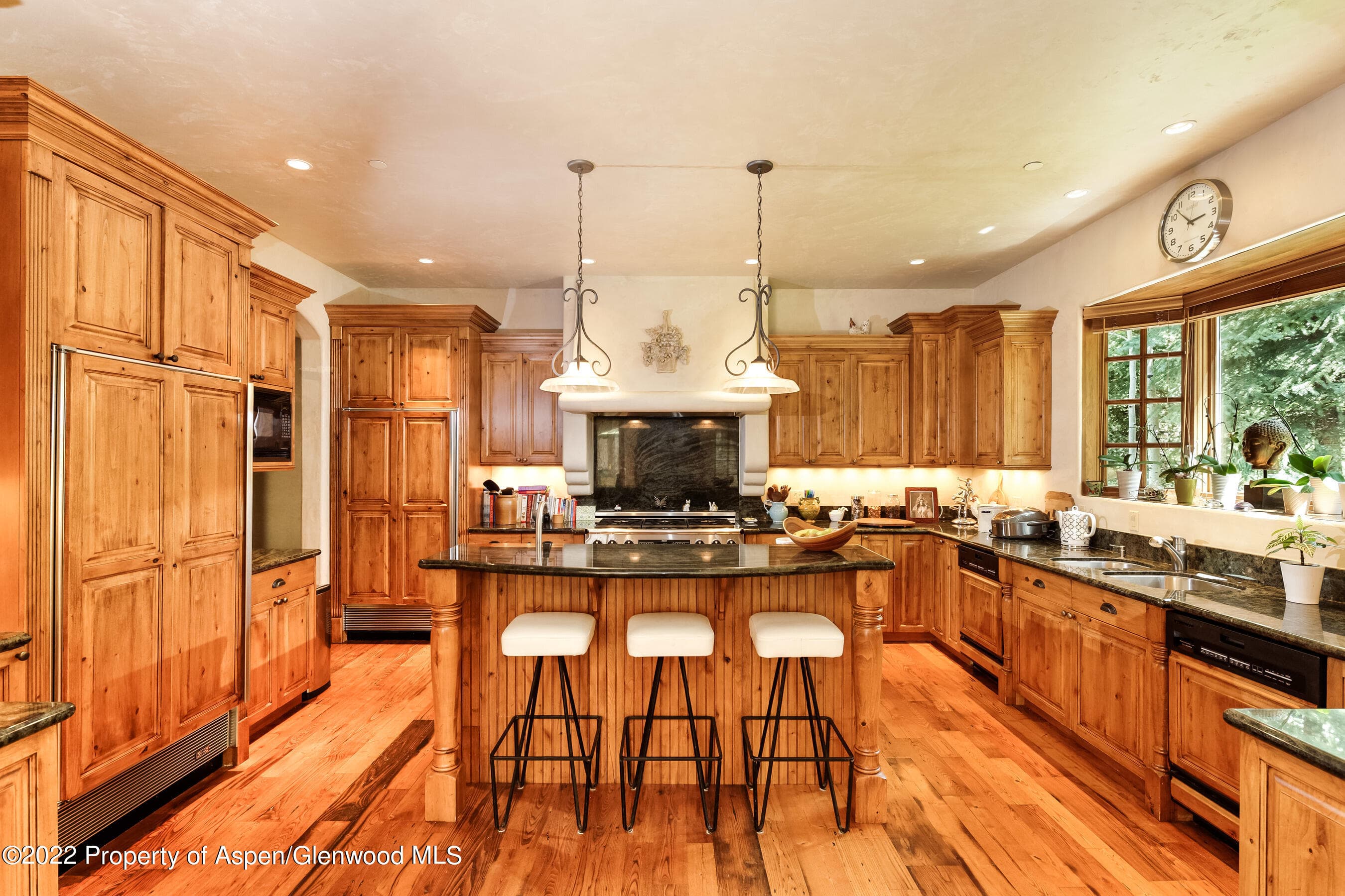 171 Cascade Lane, Aspen, CO 81611 - Photo 7
