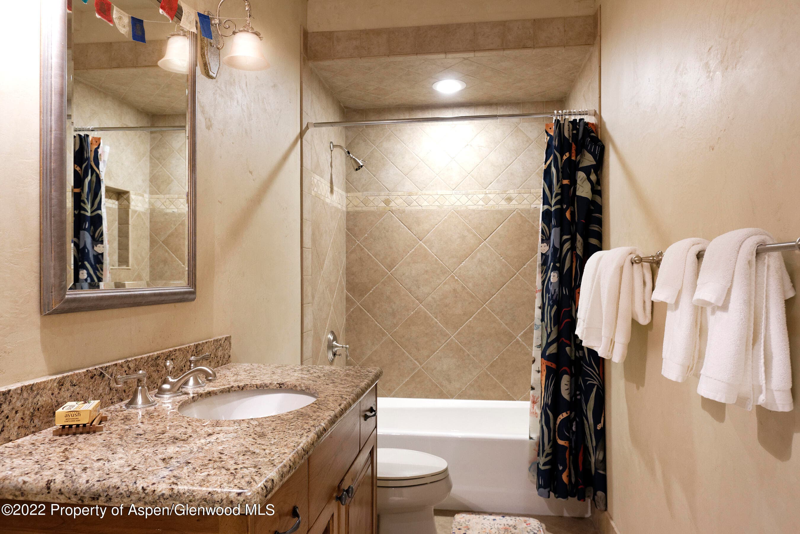 171 Cascade Lane, Aspen, CO 81611 - Photo 38