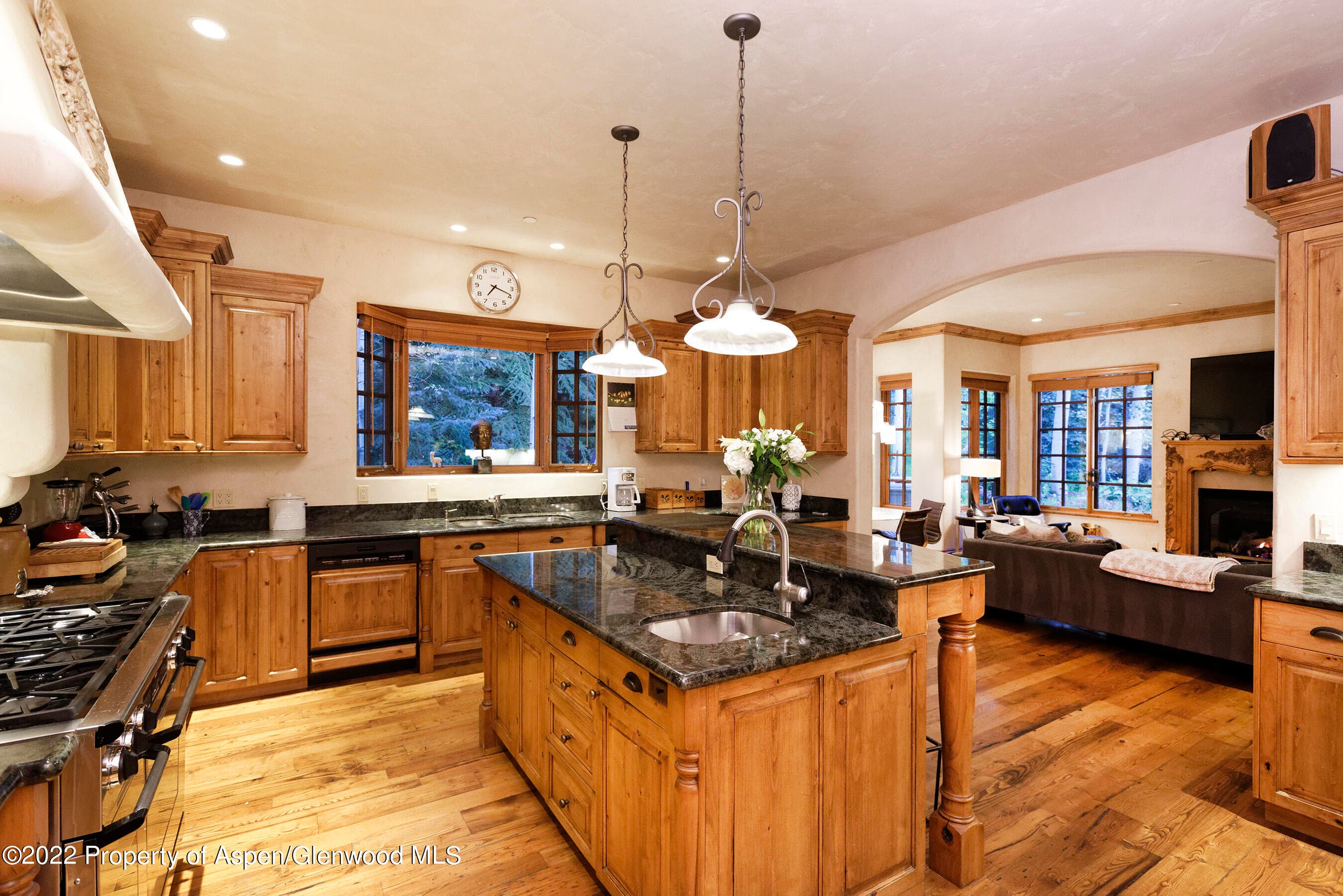 171 Cascade Lane, Aspen, CO 81611 - Photo 8