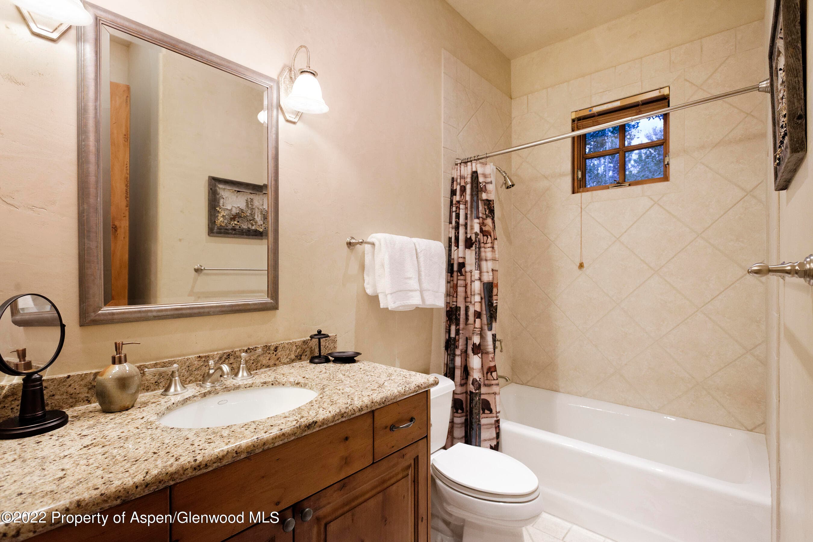 171 Cascade Lane, Aspen, CO 81611 - Photo 33
