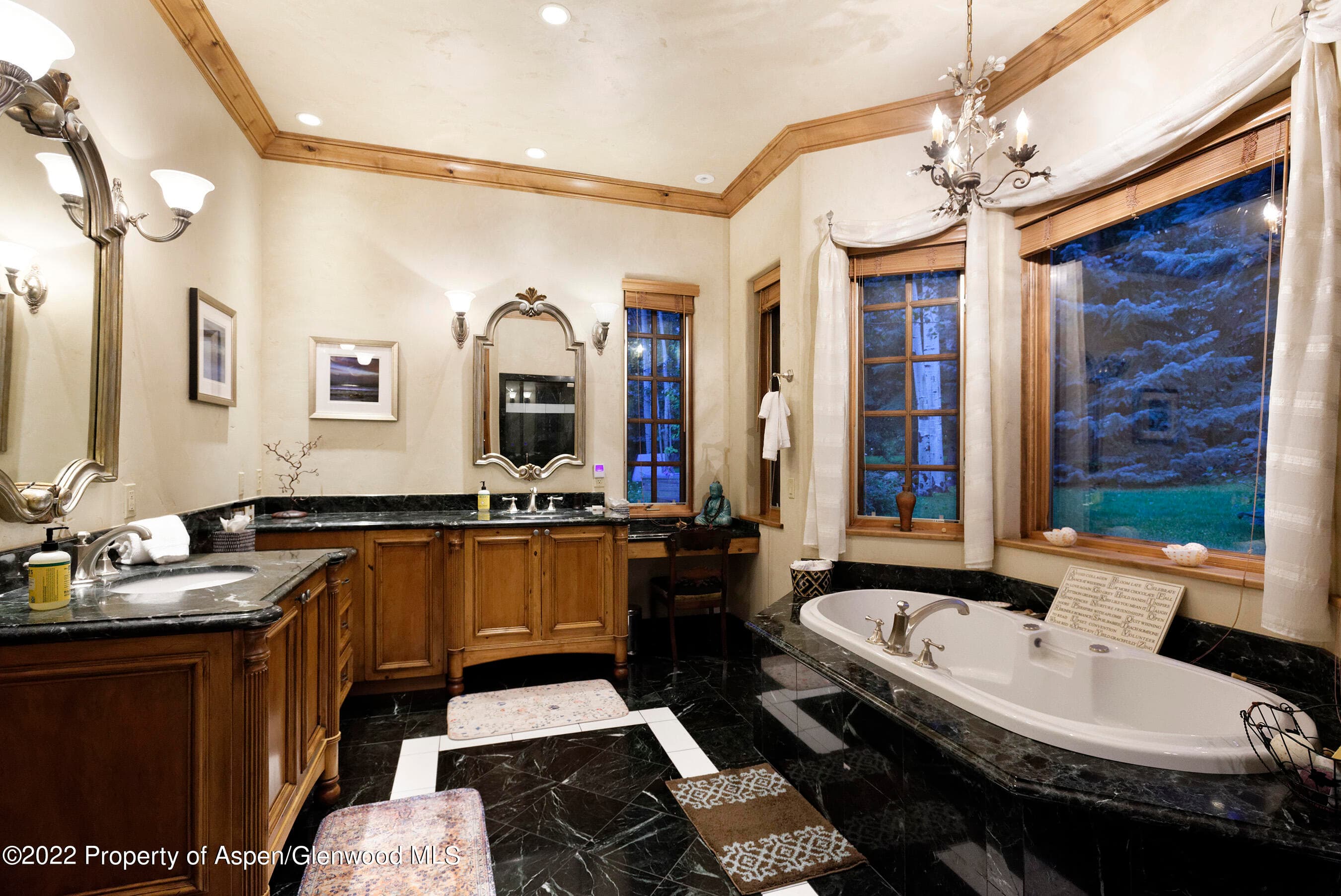 171 Cascade Lane, Aspen, CO 81611 - Photo 22