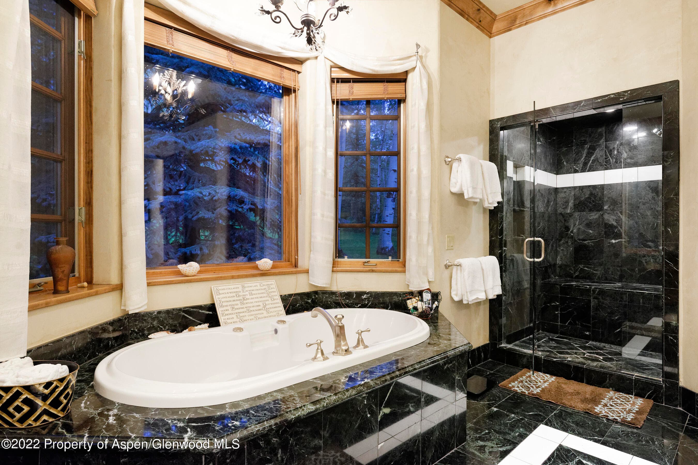 171 Cascade Lane, Aspen, CO 81611 - Photo 23