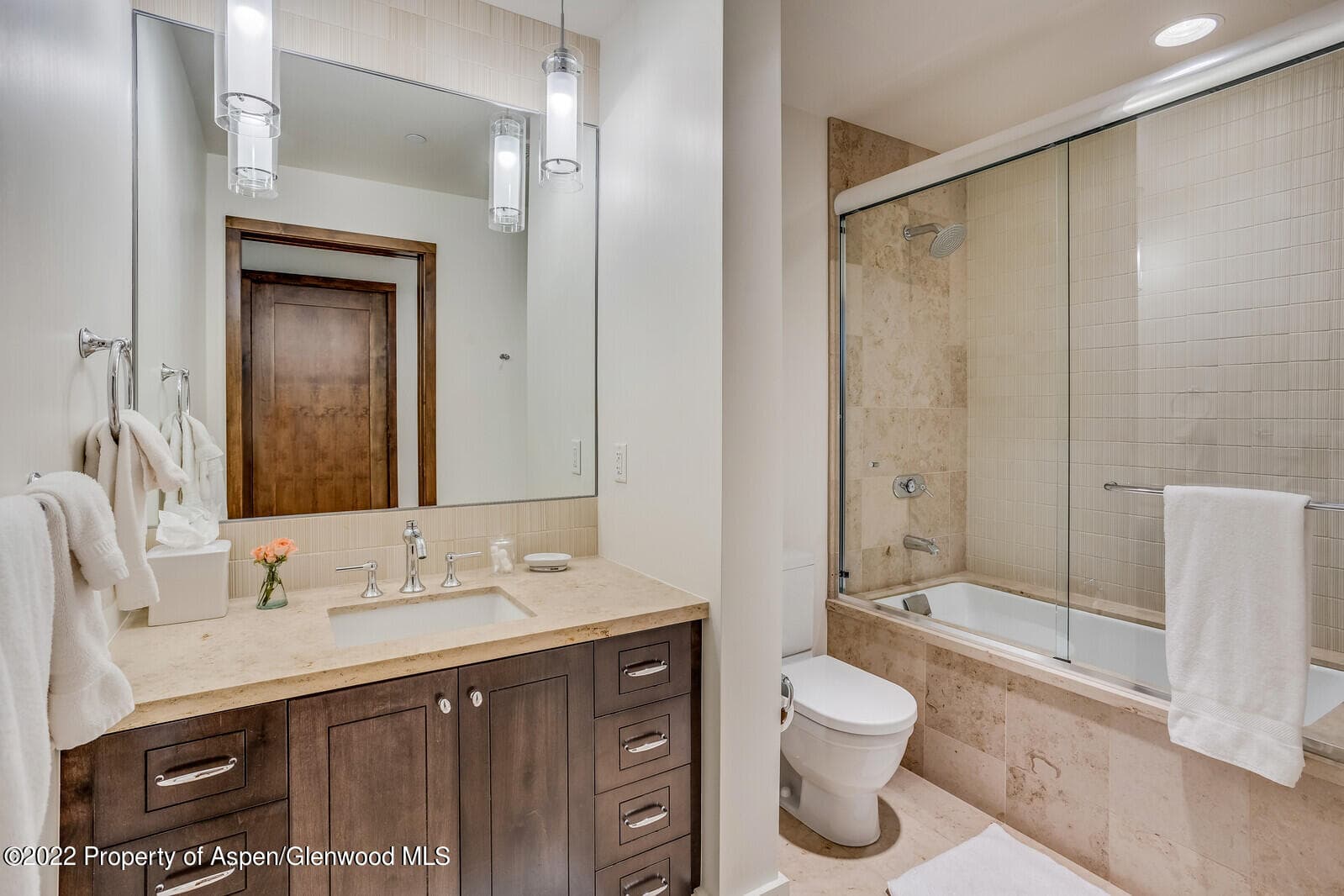 405 S Monarch Street 209, Aspen, CO 81611 - Photo 21