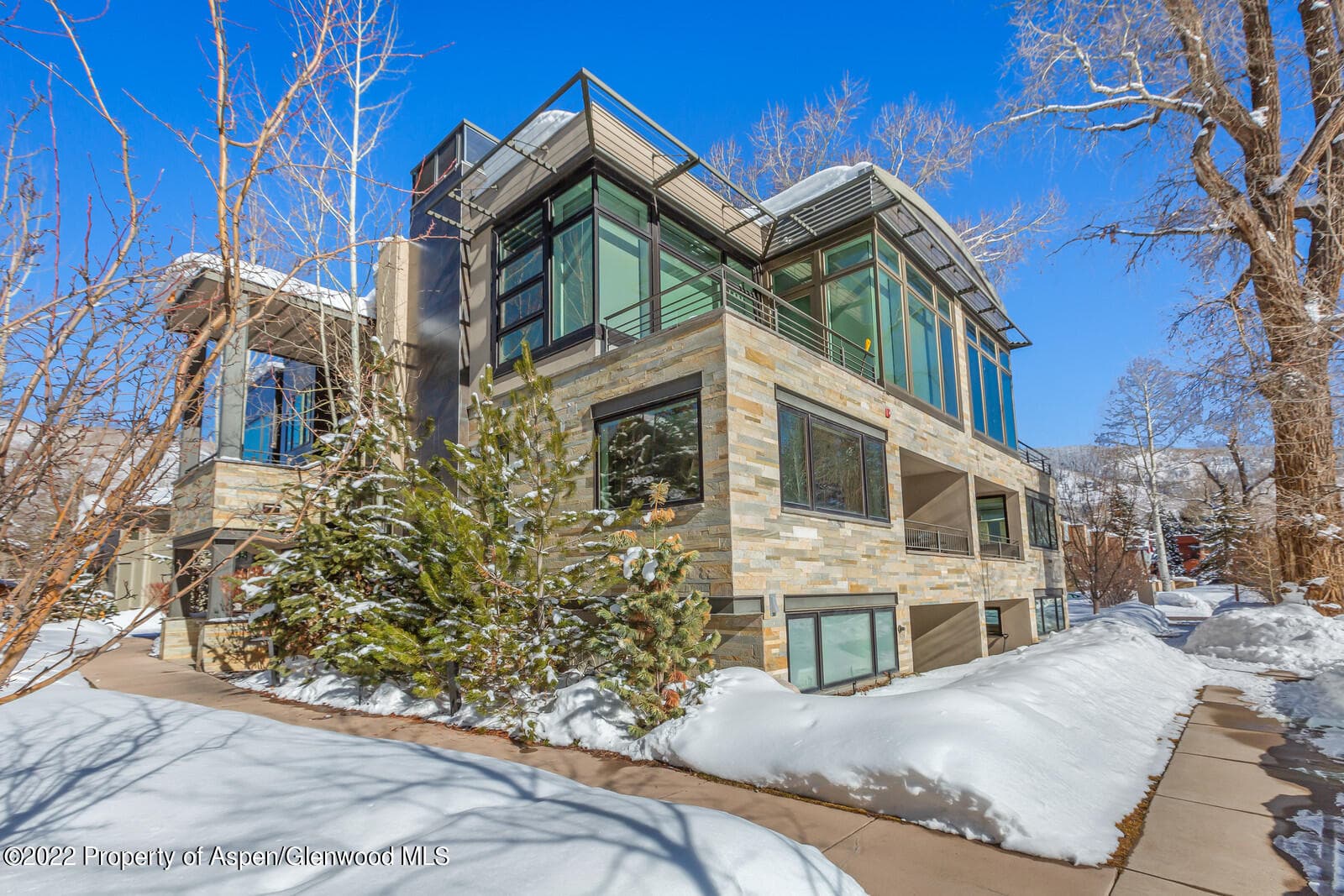 104 W Cooper Avenue 3, Aspen, CO 81611