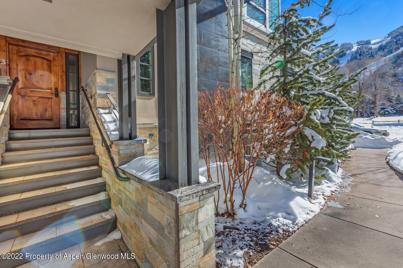 104 W Cooper Avenue 3, Aspen, CO 81611 - Photo 2