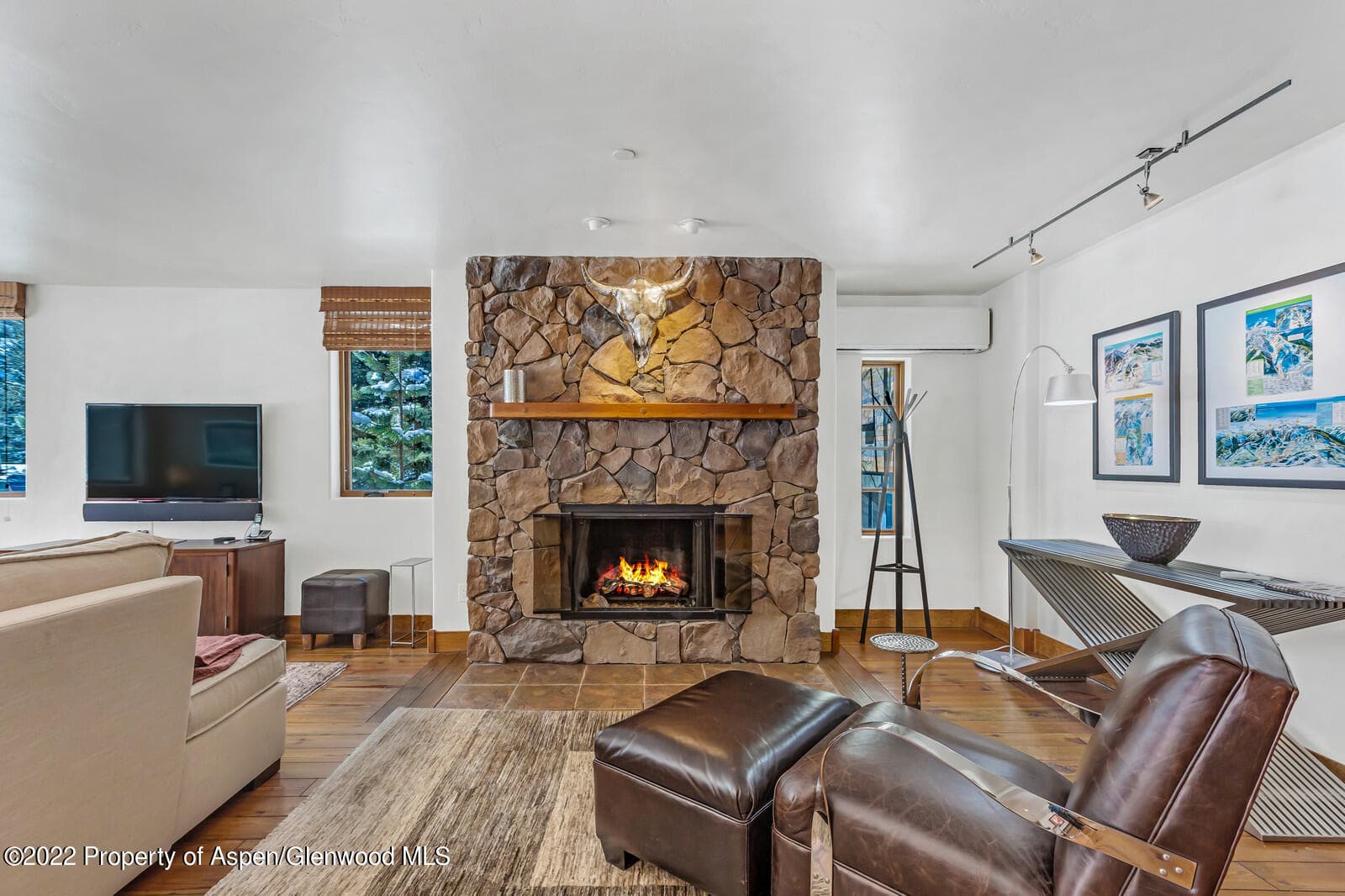 104 W Cooper Avenue 3, Aspen, CO 81611 - Photo 3